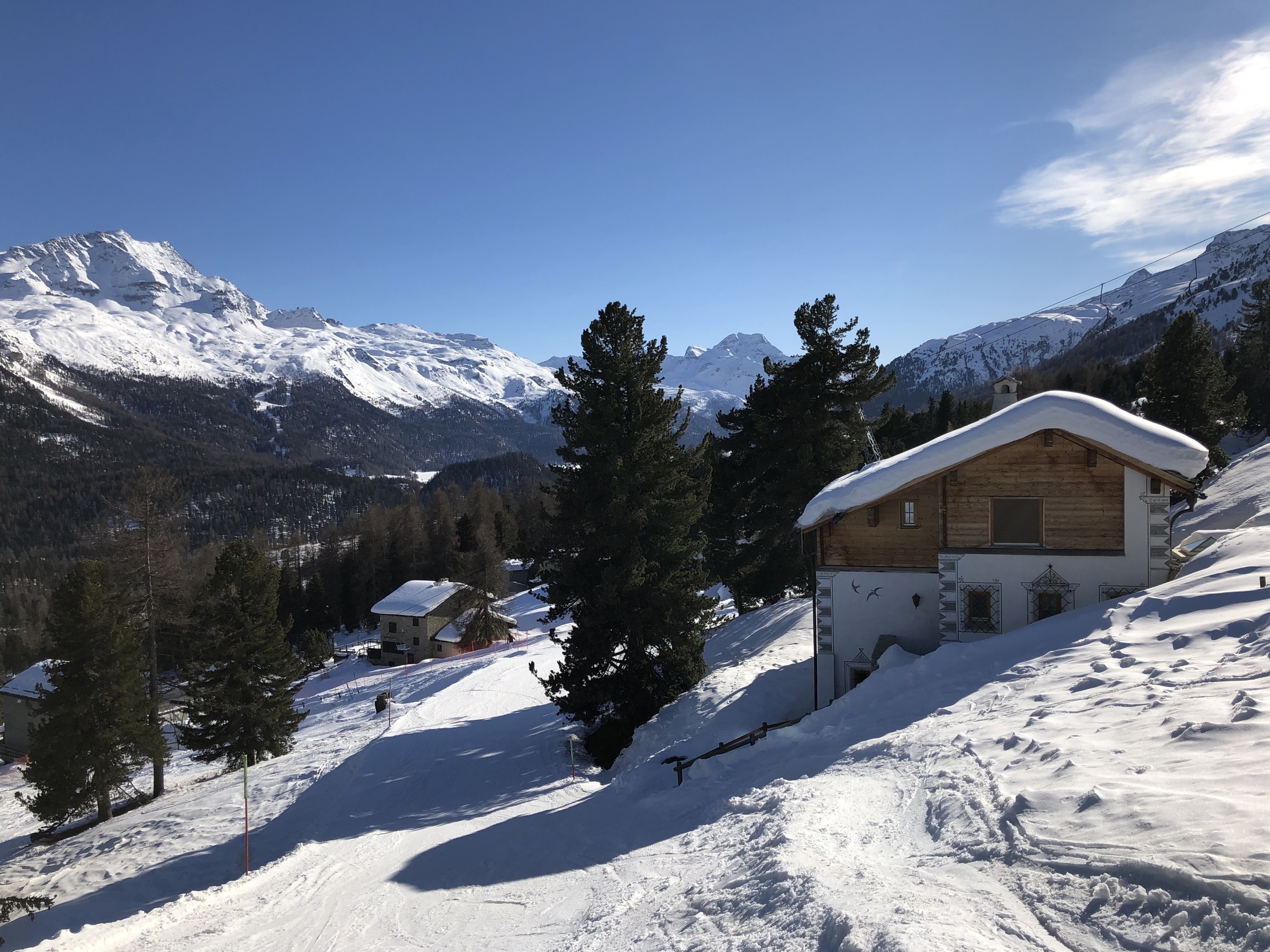 F065541D-D5E3-47B3-A6D9-B64D2650C778.jpeg