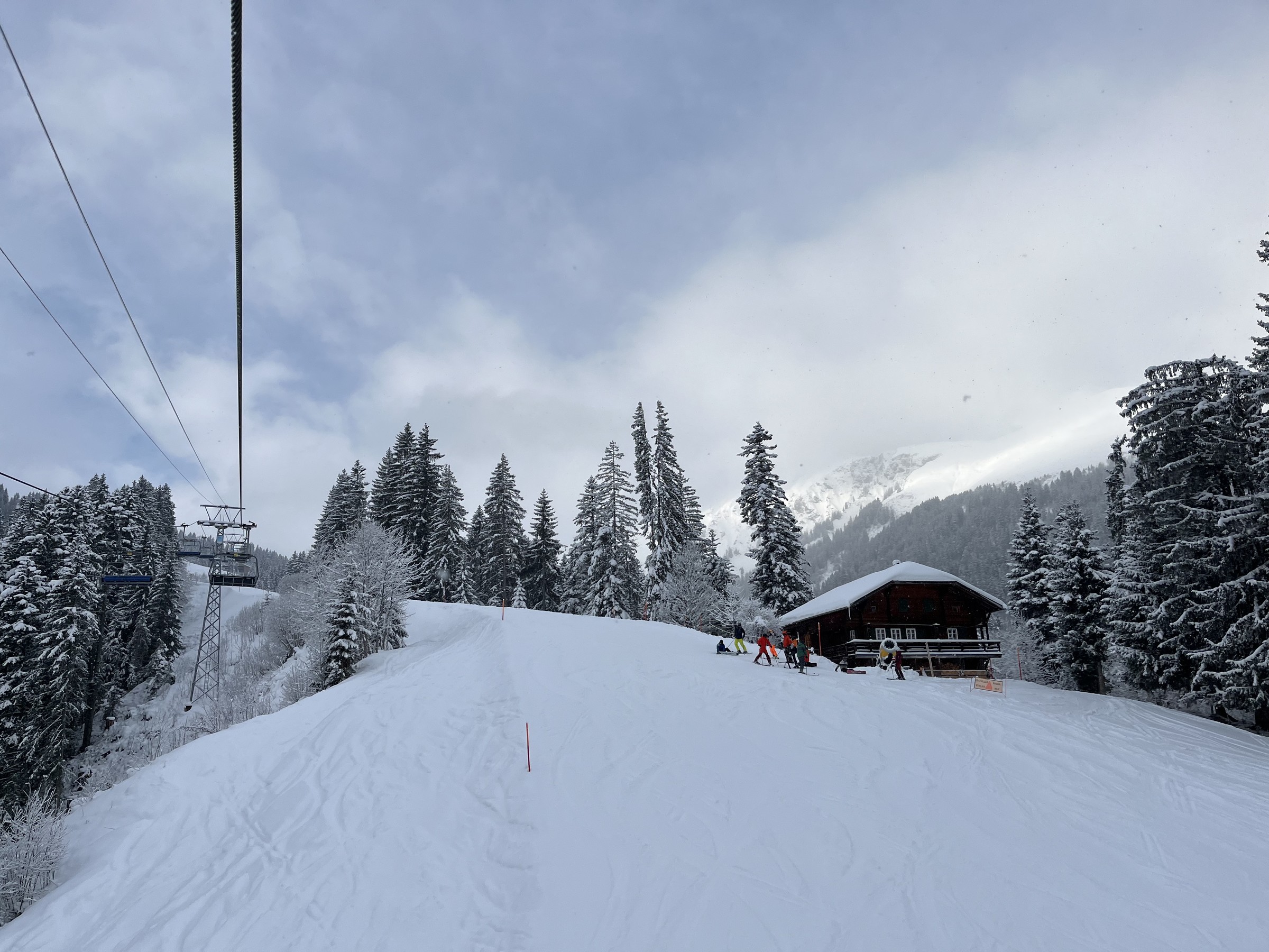 F0657A01-2A70-4AB8-B1CC-A9D7424DE077.jpeg
