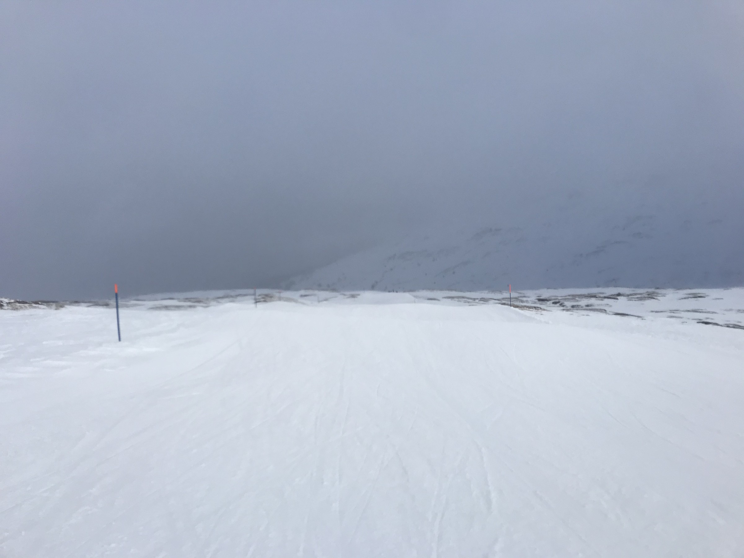 F0940EB7-358F-4A16-AD45-99D81B311A7A.jpeg