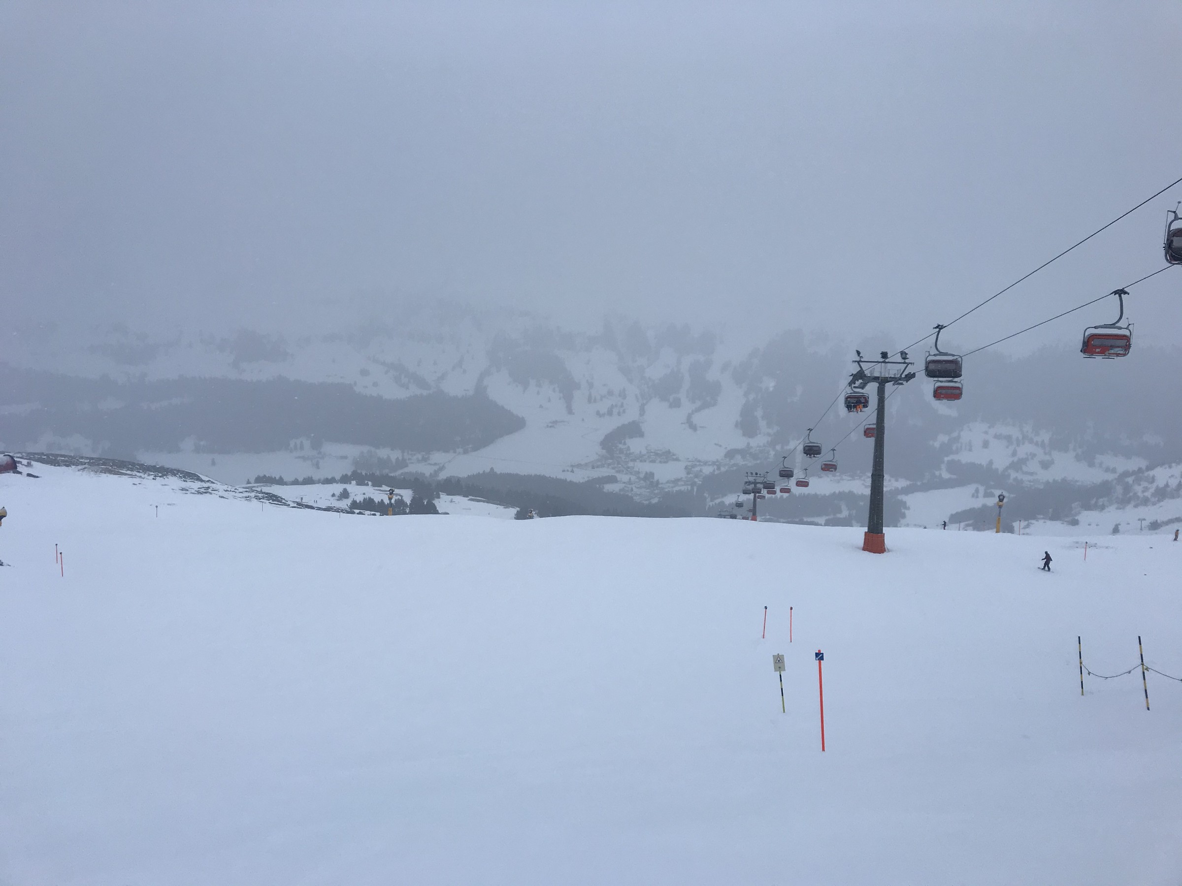 F184B22B-96DA-4587-A225-101AC2815E06.jpeg