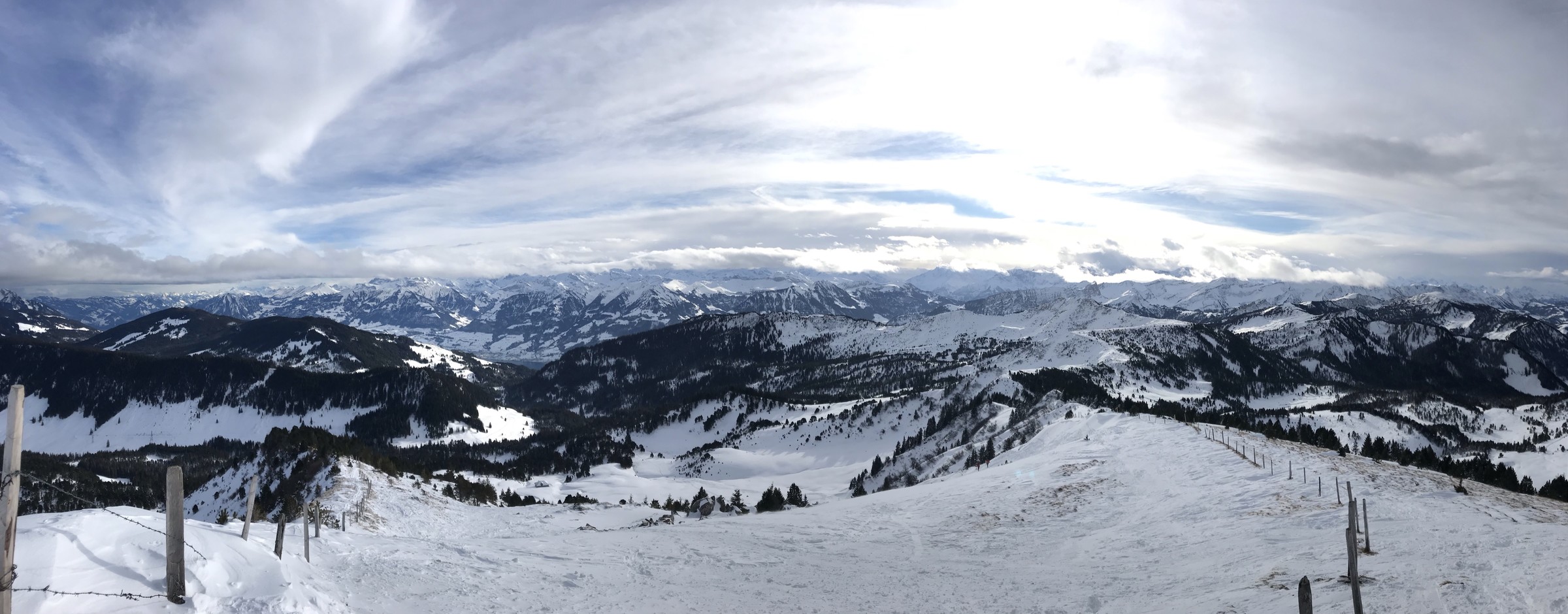 F2524417-78D4-4222-8E7A-41D45F81E59F.jpeg