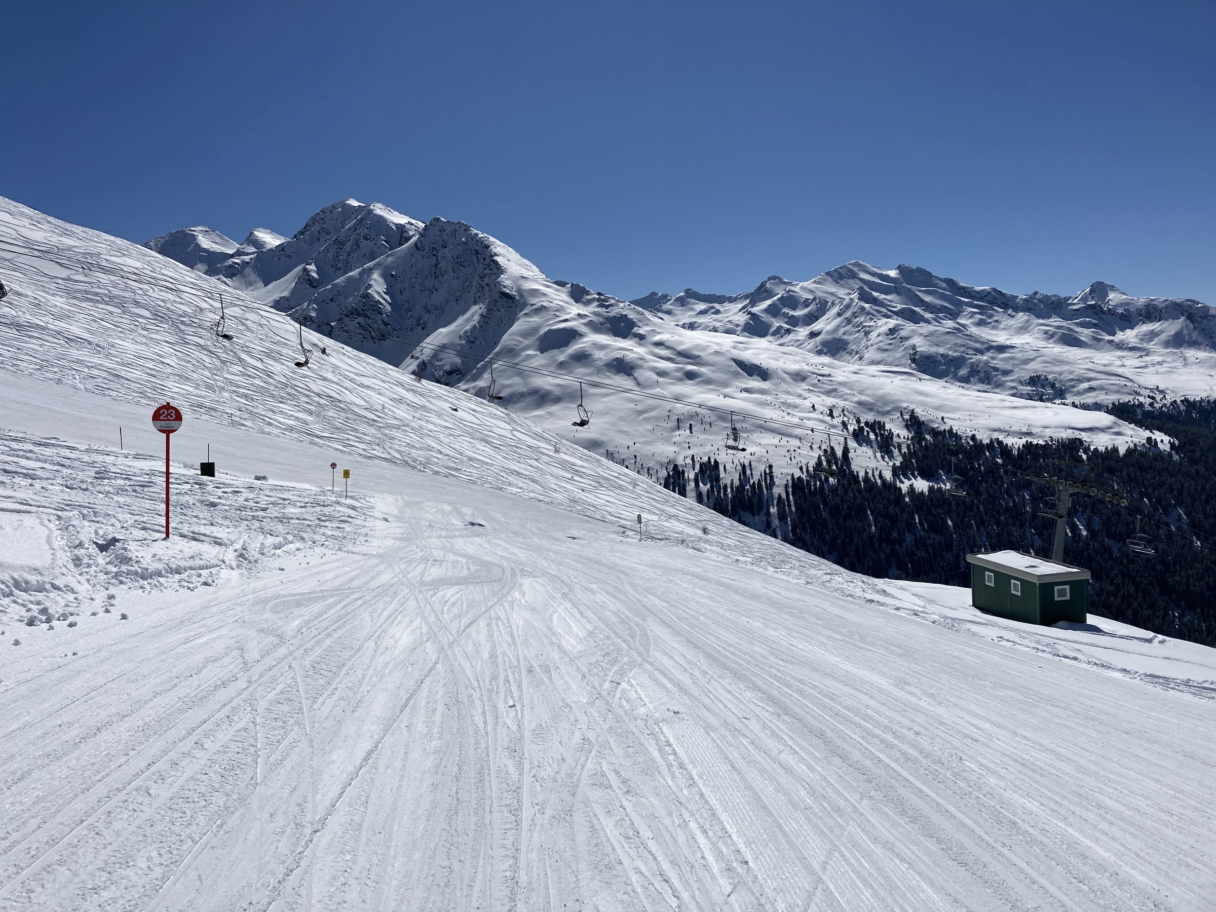 F2974E6A-E3E1-4601-B8B2-84F0181868D7.jpeg