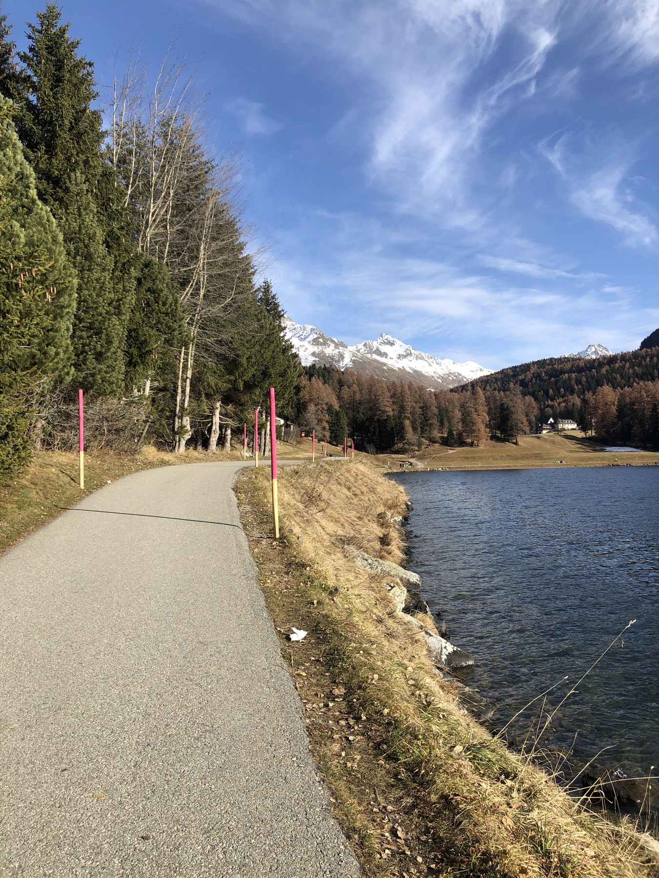 F42A0761-15C7-46DE-9C95-58D17F4F6EC3.jpeg