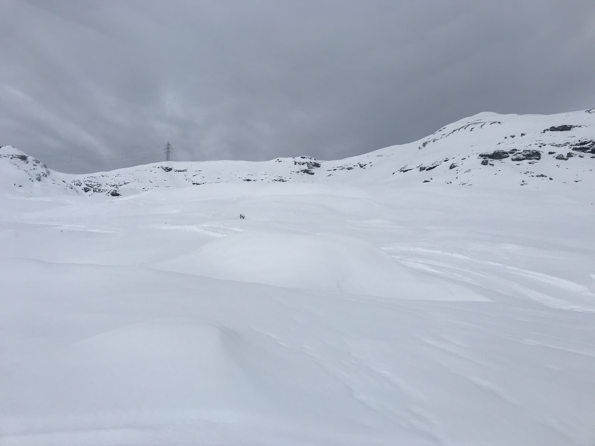 F52A28DE-E9D9-476D-A220-D372927CE3A9.jpeg