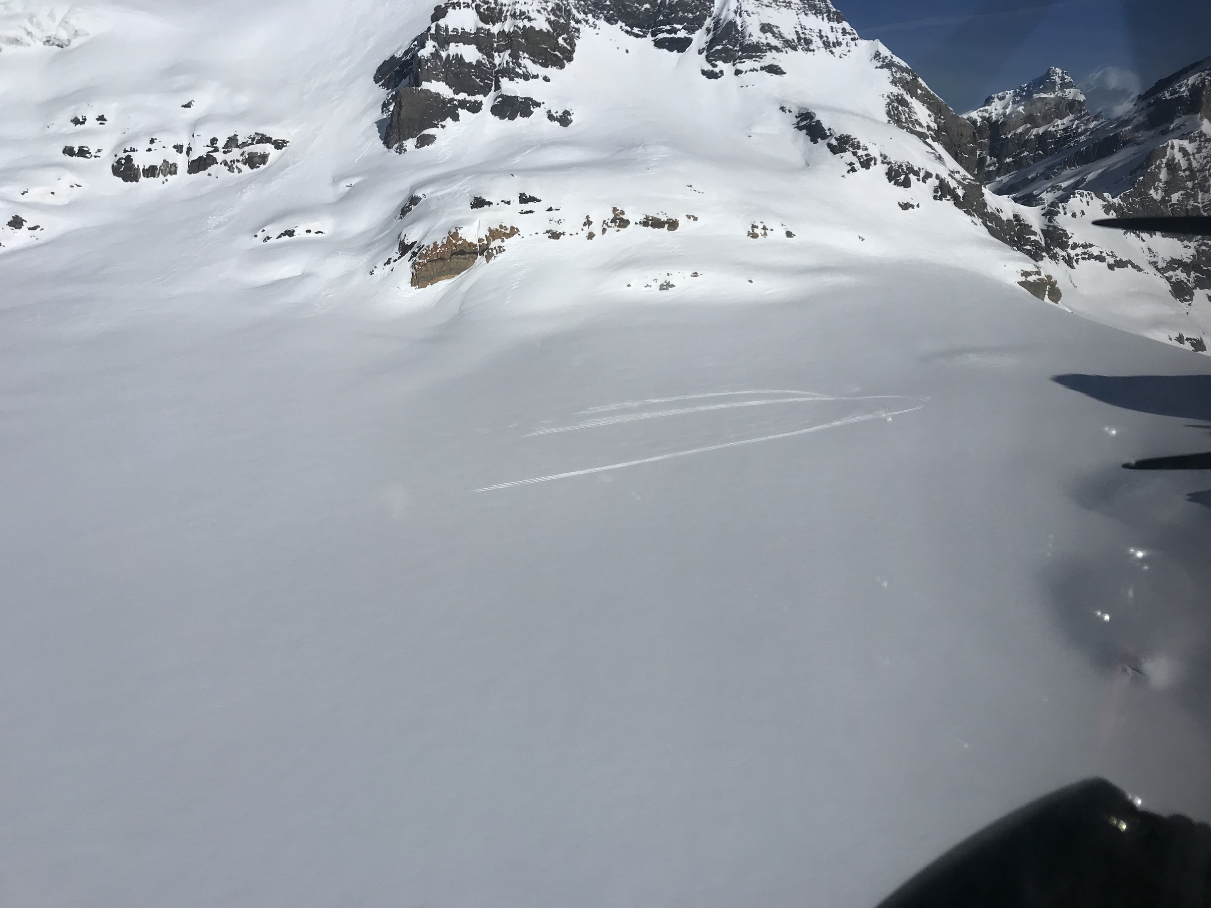 F60AB820-1327-419E-8BDD-4B40849FDDBB.jpeg