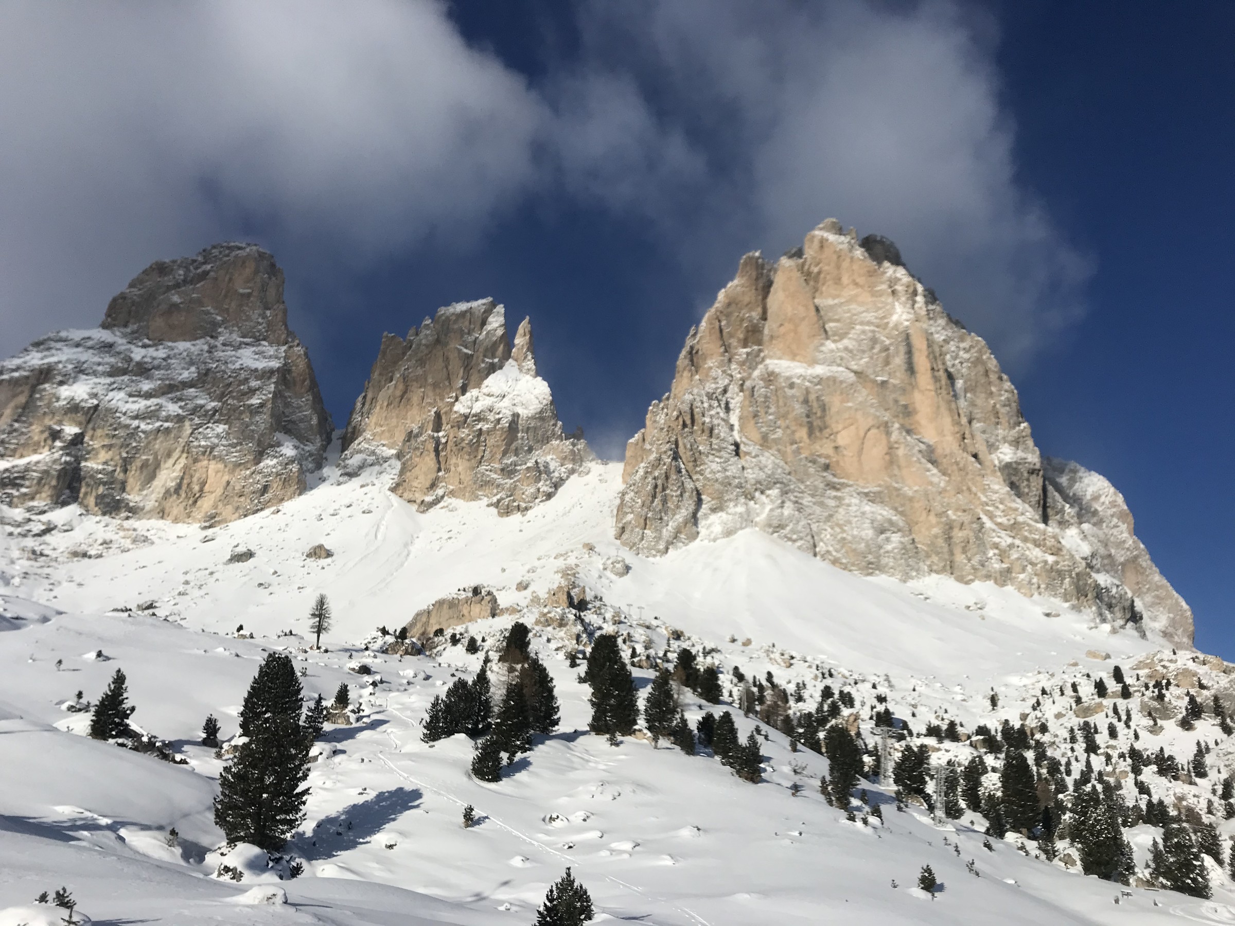 F616DB58-82C8-4492-B606-A5E5765DDA53.jpeg