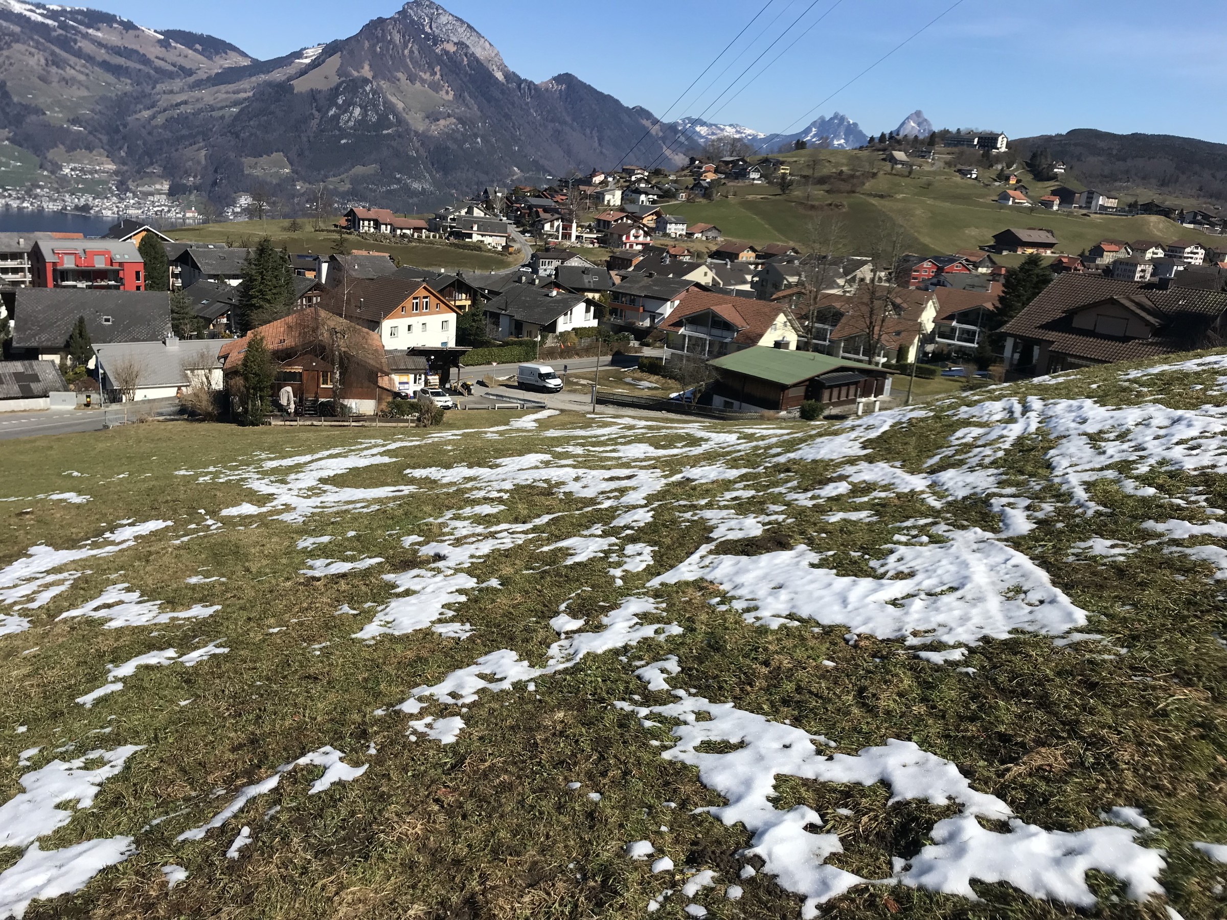 F889ED8D-E174-4B7A-8F1B-9F9253A0D23E.jpeg