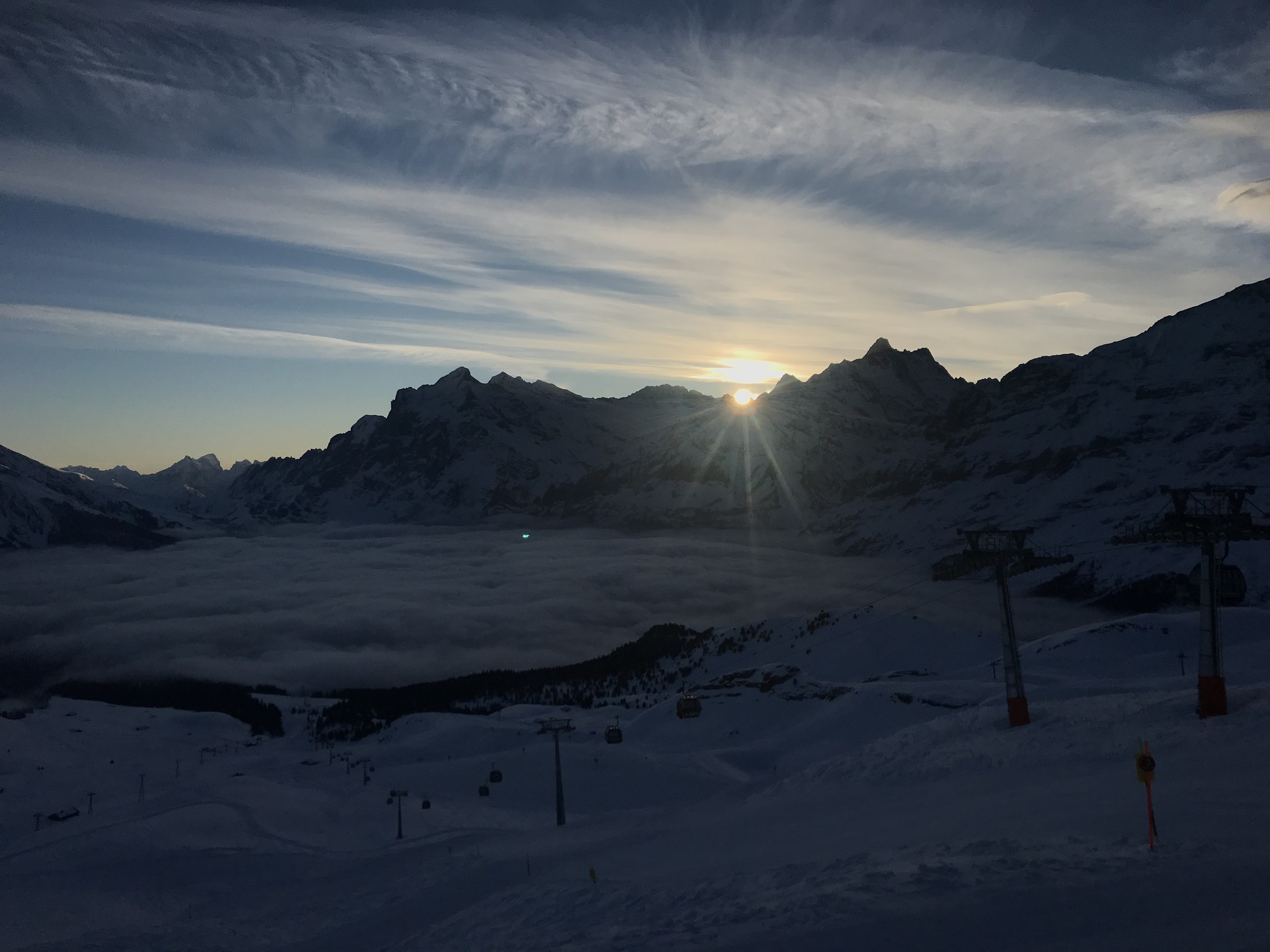 F90B6878-5D3D-406E-83BF-D996339B35A5.jpeg