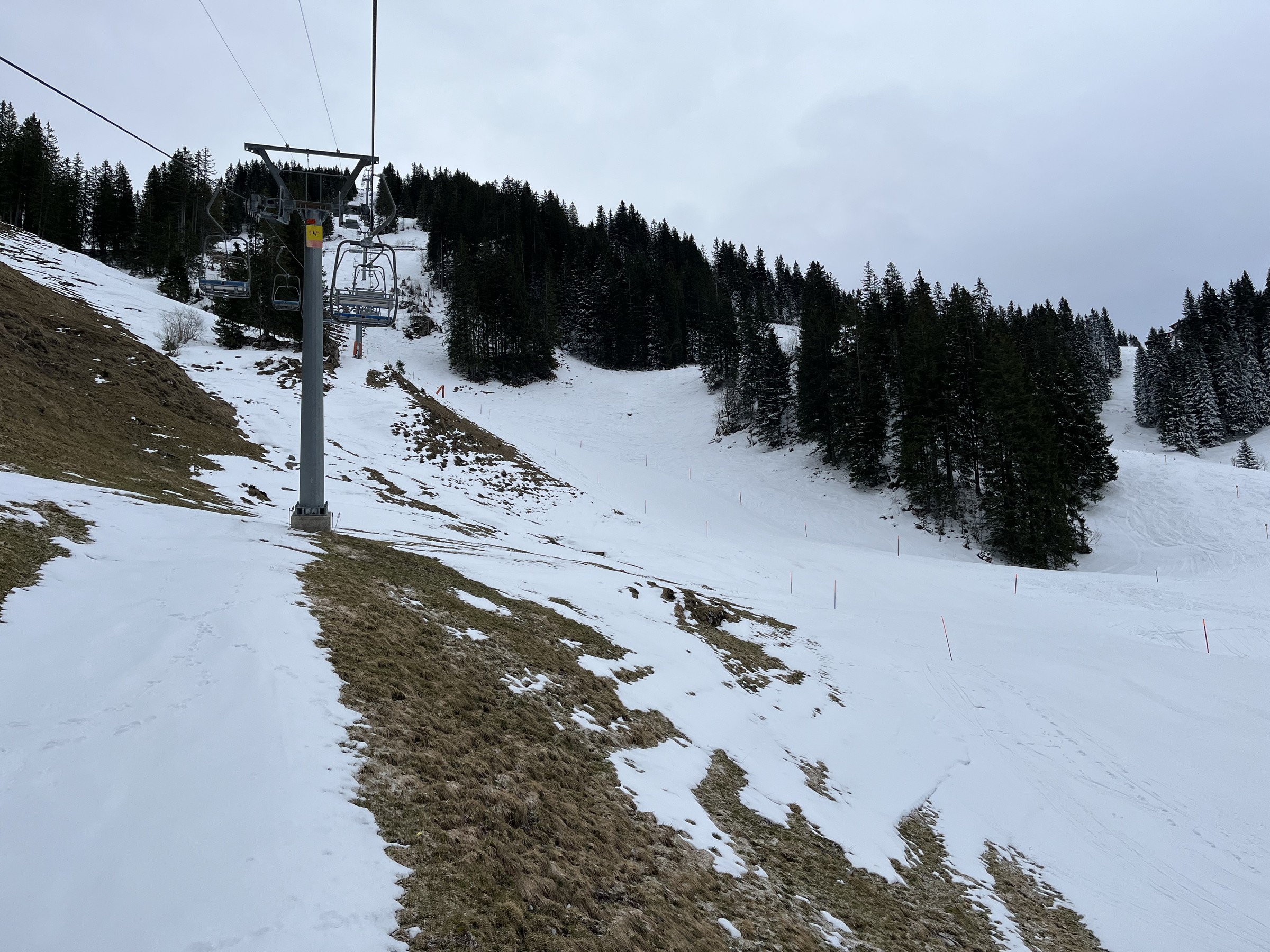 F969CC95-E959-420D-8506-0CE0D44ED975.jpeg