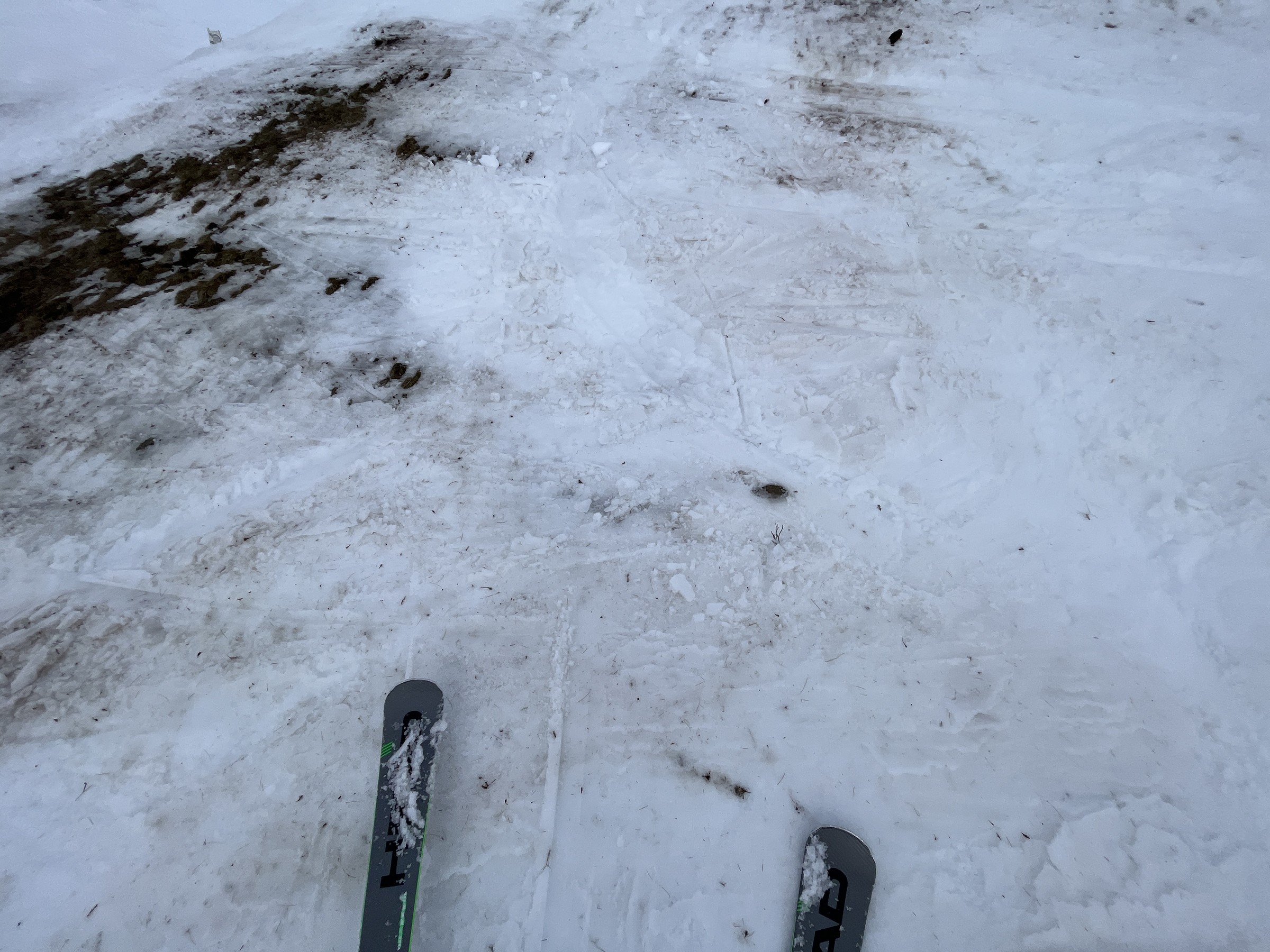 FD574FF0-4298-4677-8C61-0CE24BC95AA7.jpeg