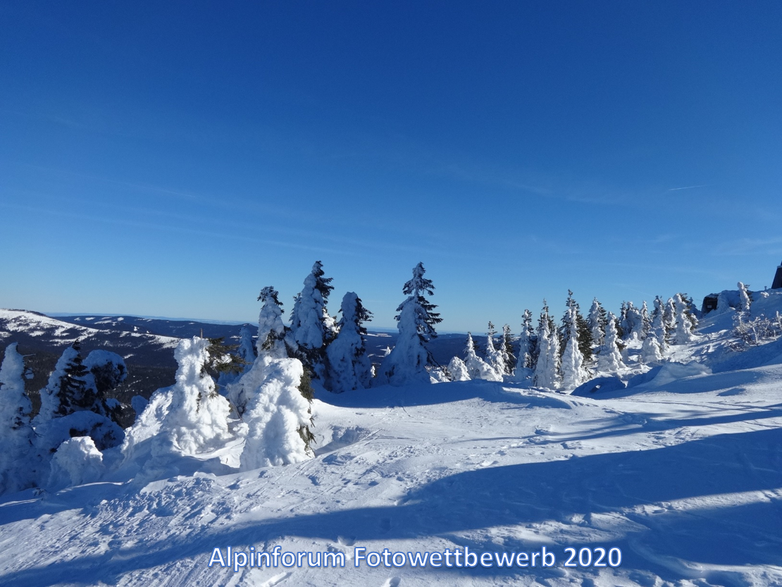 Februar - Winter 10.png