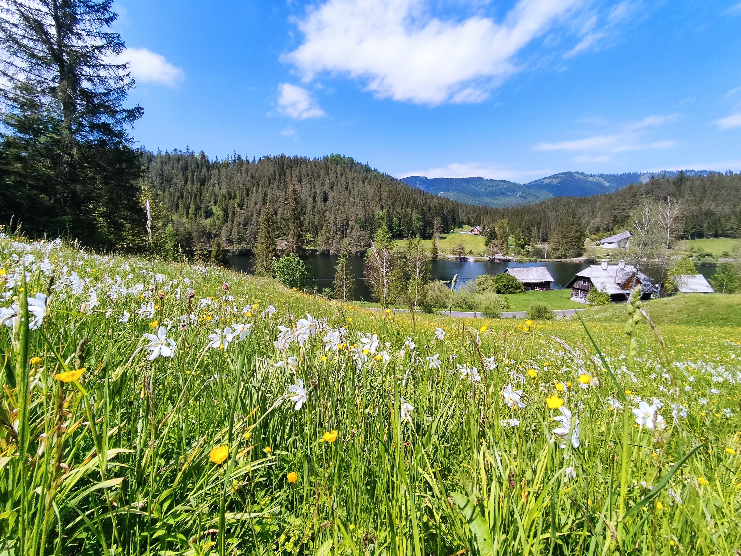 Frühling (1).jpg