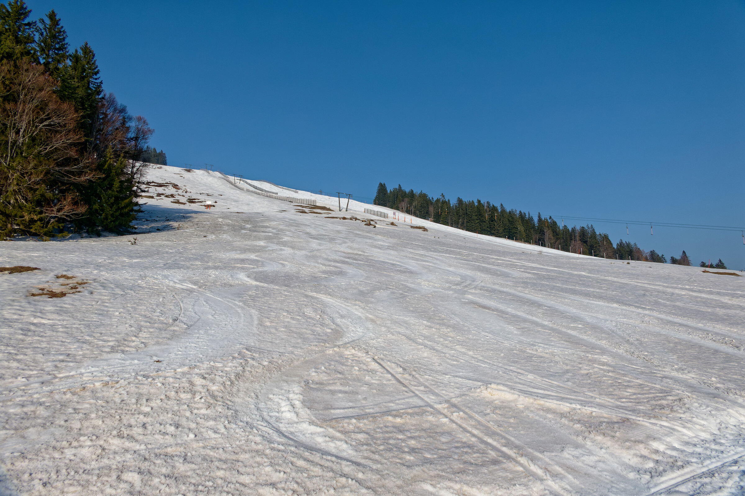 Frühling (4).jpg