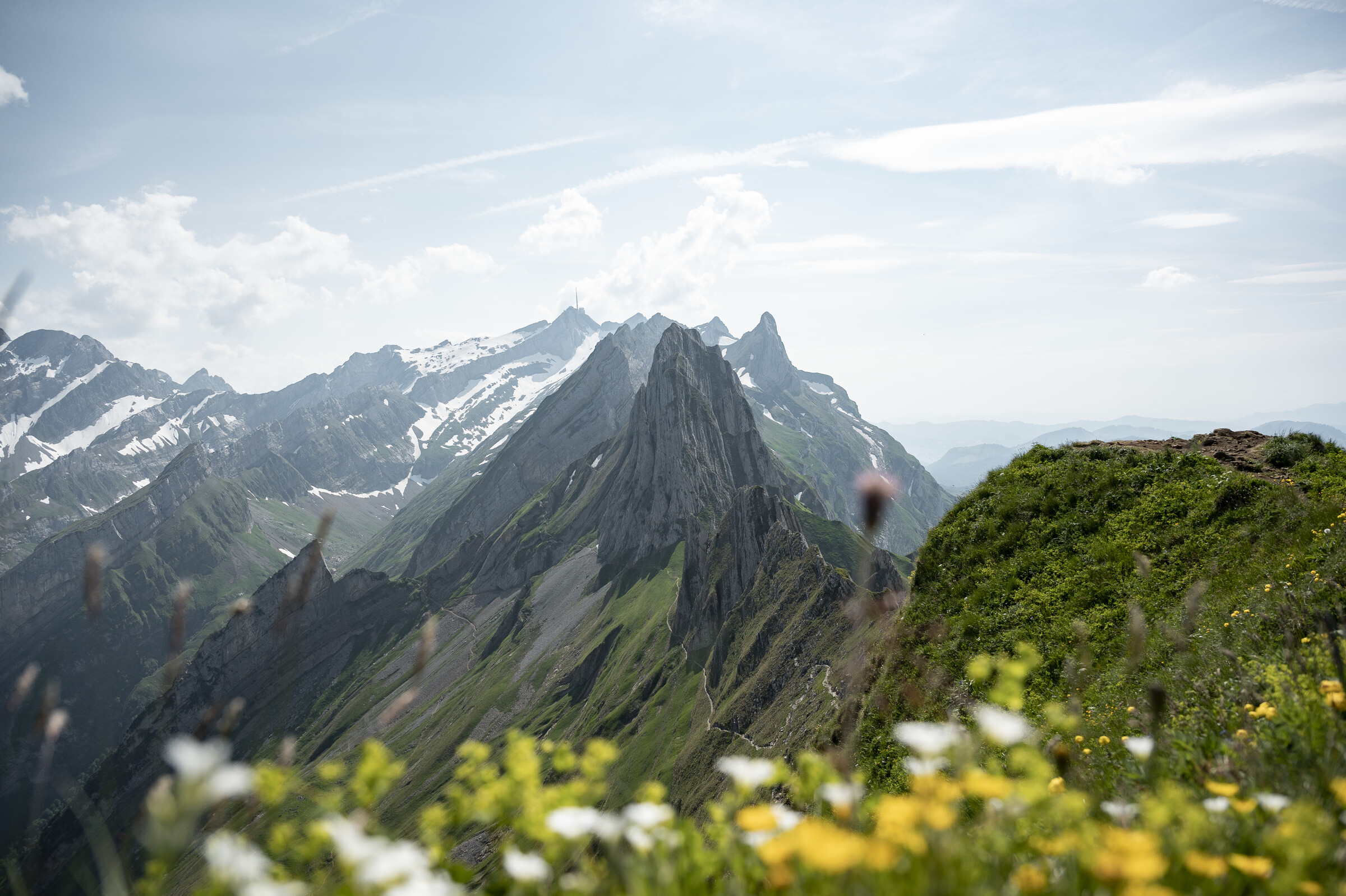 Frühling (6).jpg