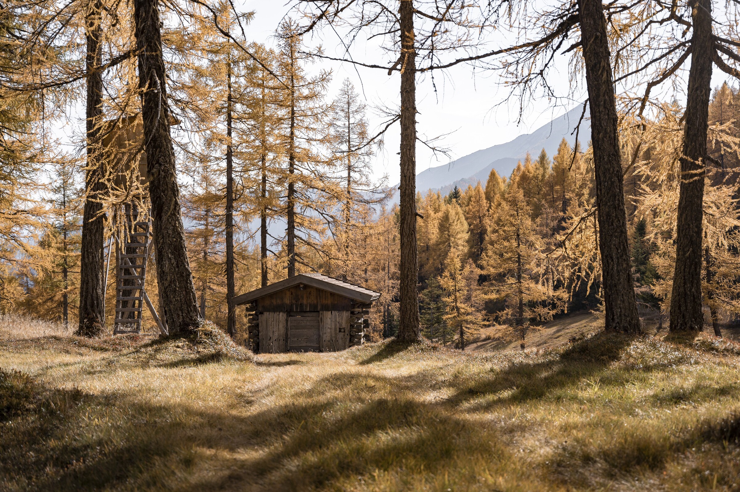 Gletscherherbst (5).jpg