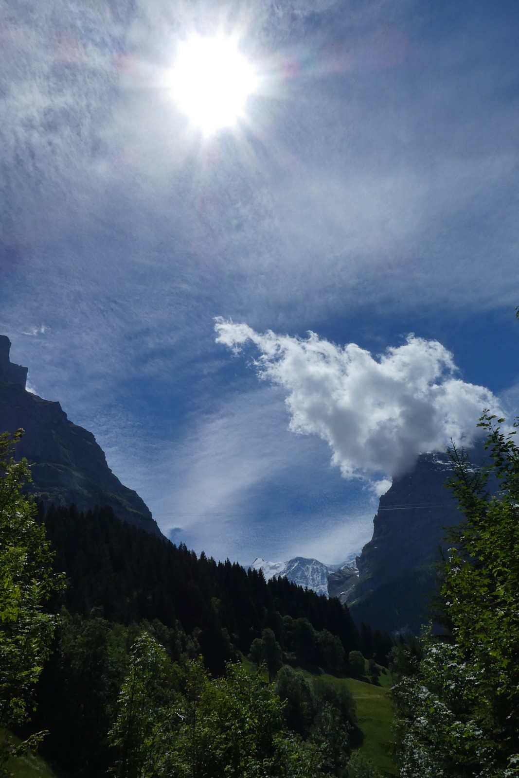 Grindelwald juni 031.JPG