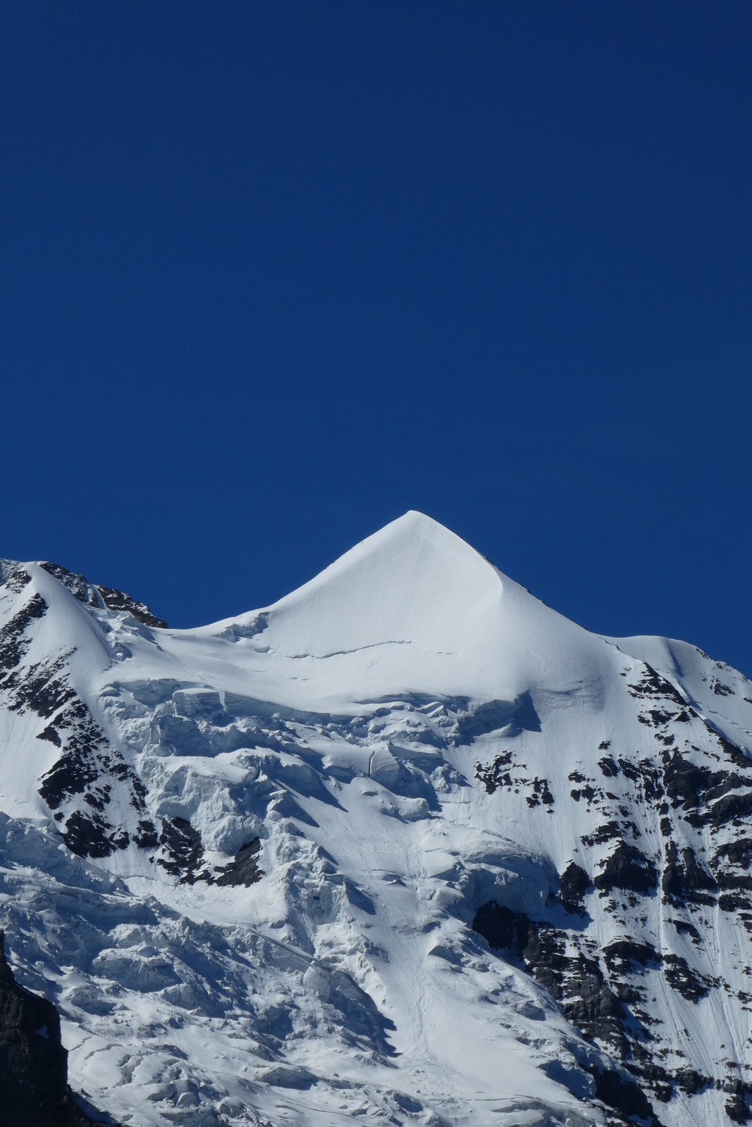 Grindelwald juni 066.JPG