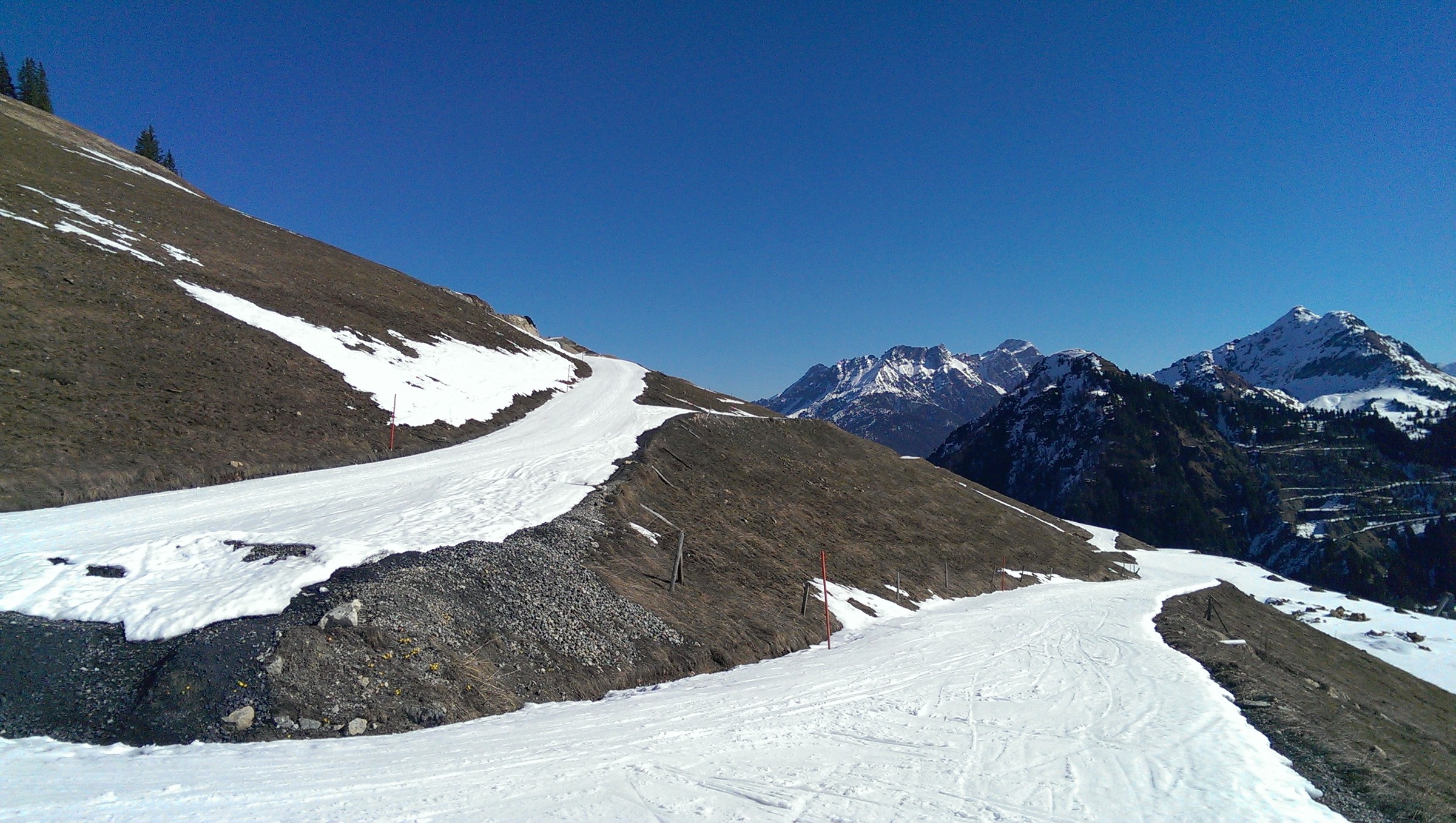 IMAG0155.jpg
