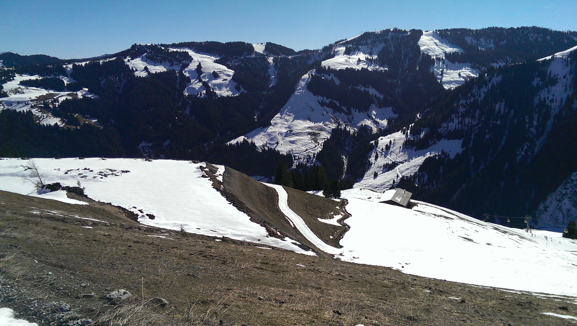 IMAG0156.jpg