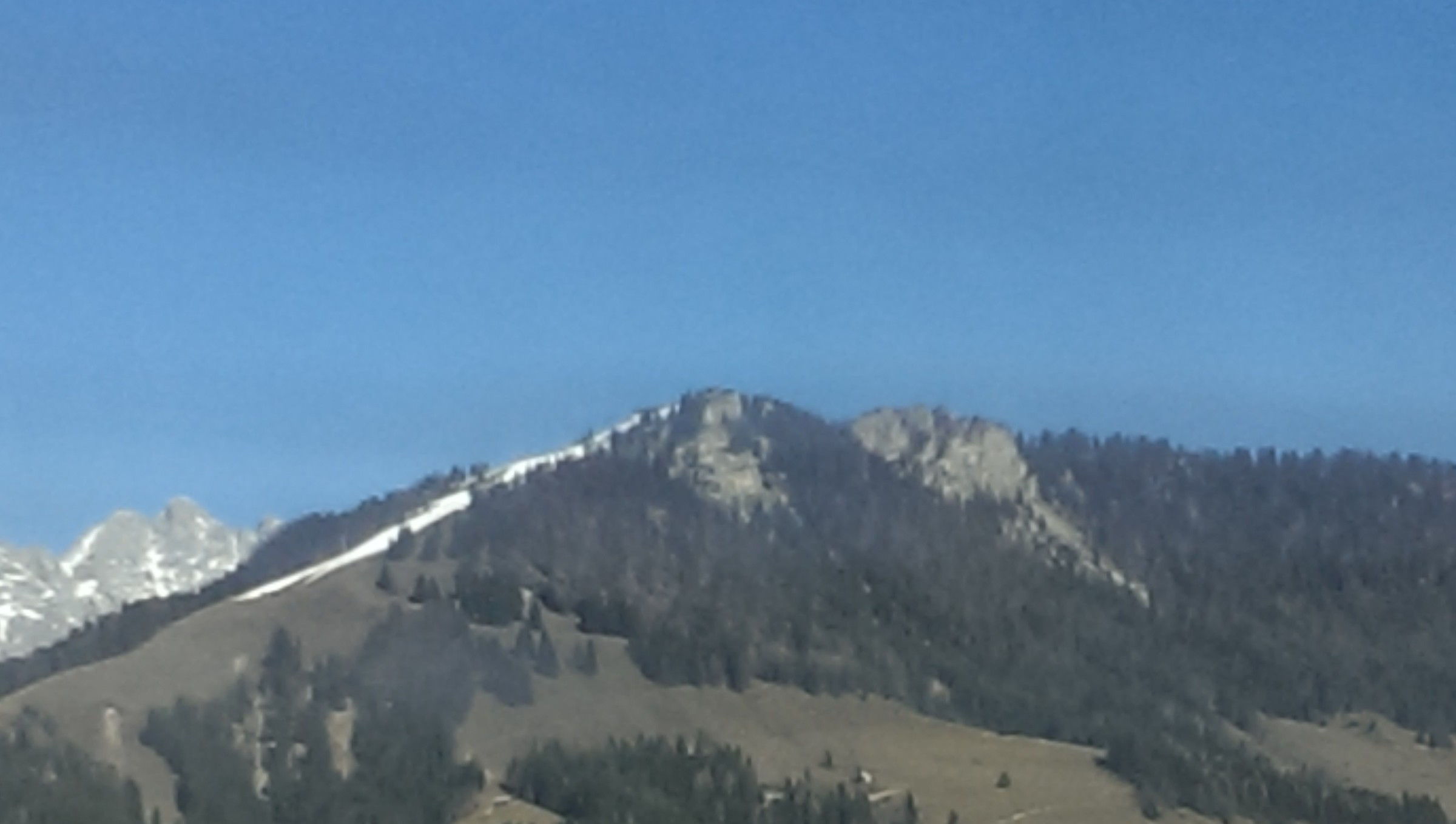 IMAG0169.jpg