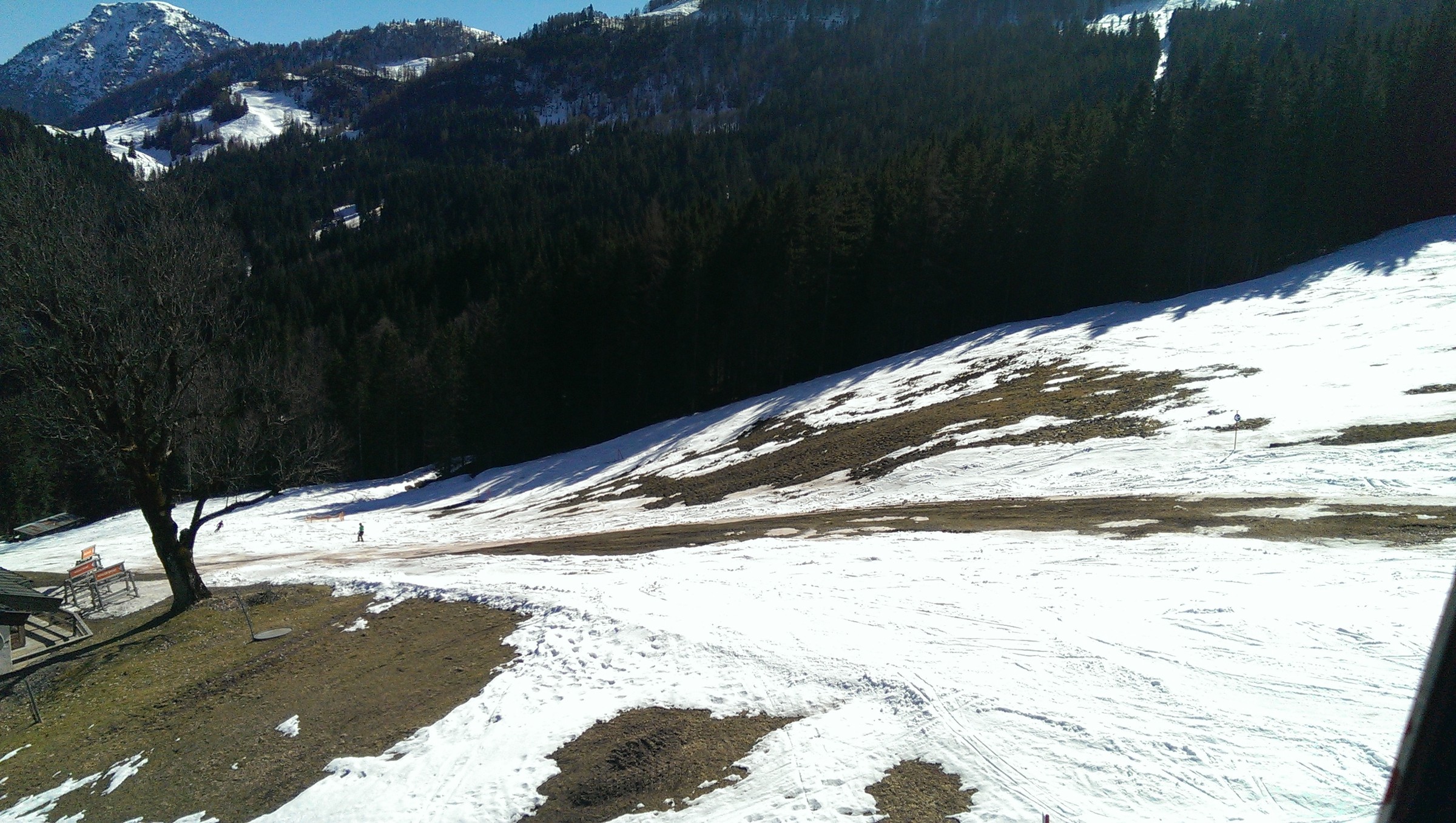 IMAG0170.jpg