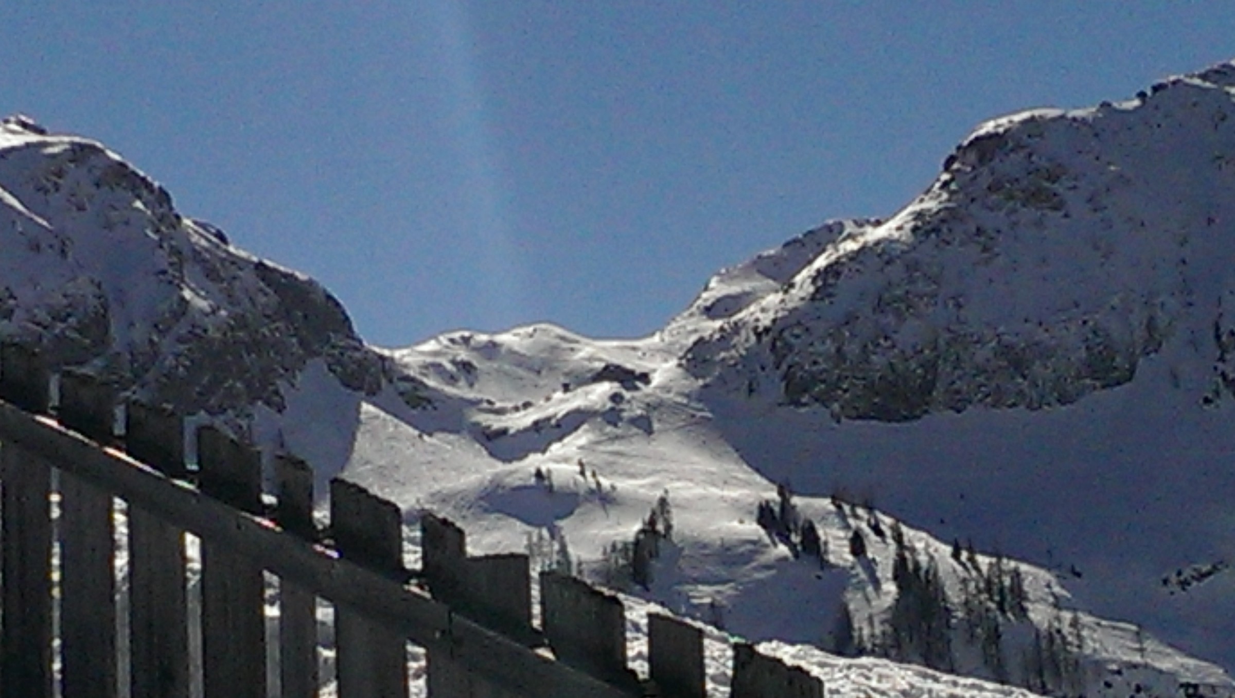 IMAG0175.jpg