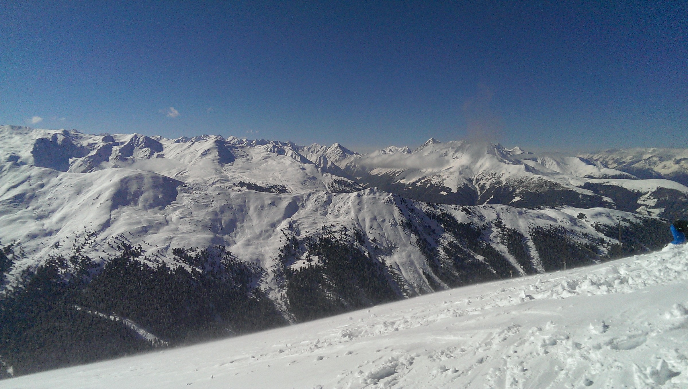 IMAG0962.jpg