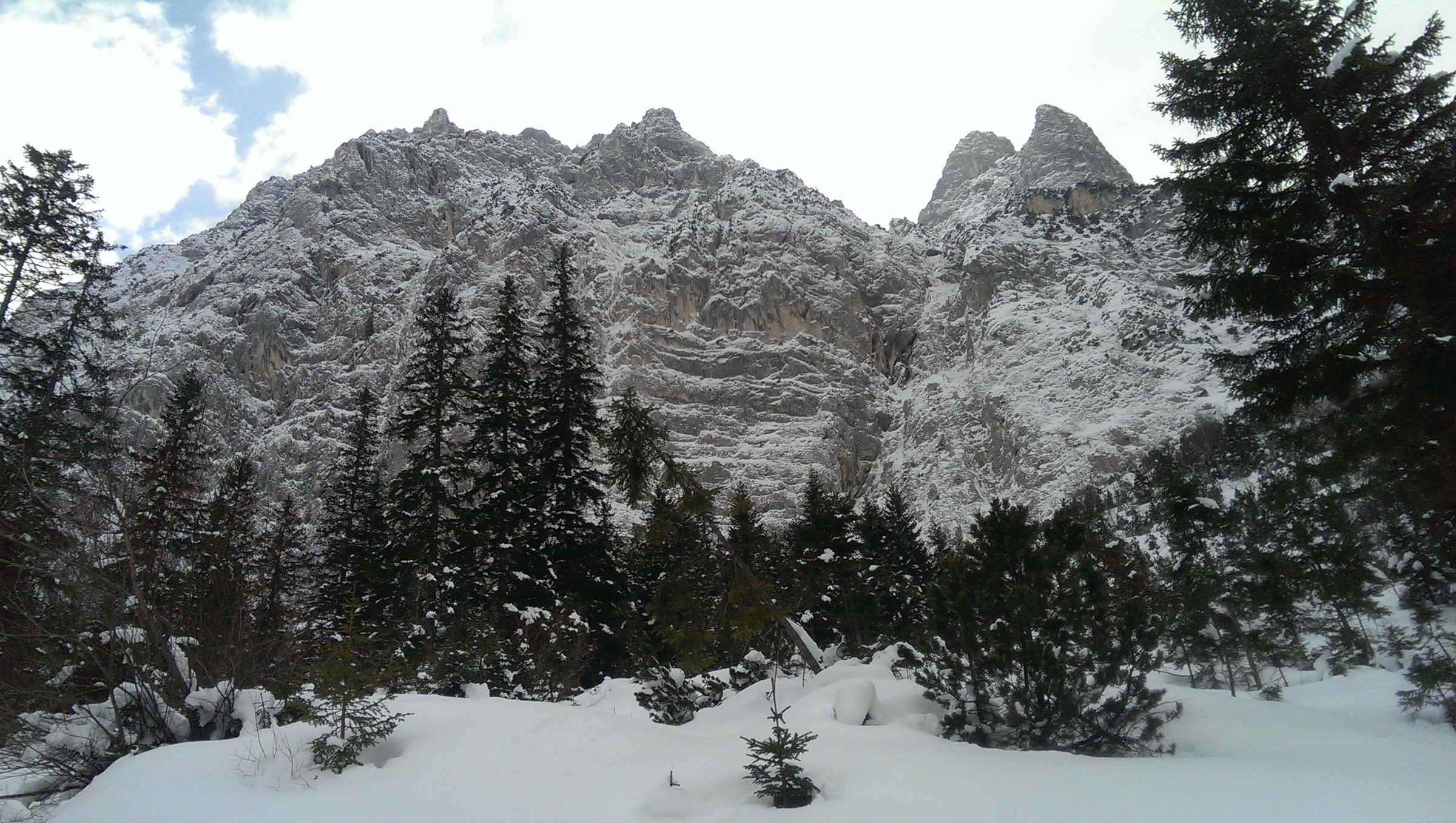 IMAG0998.jpg