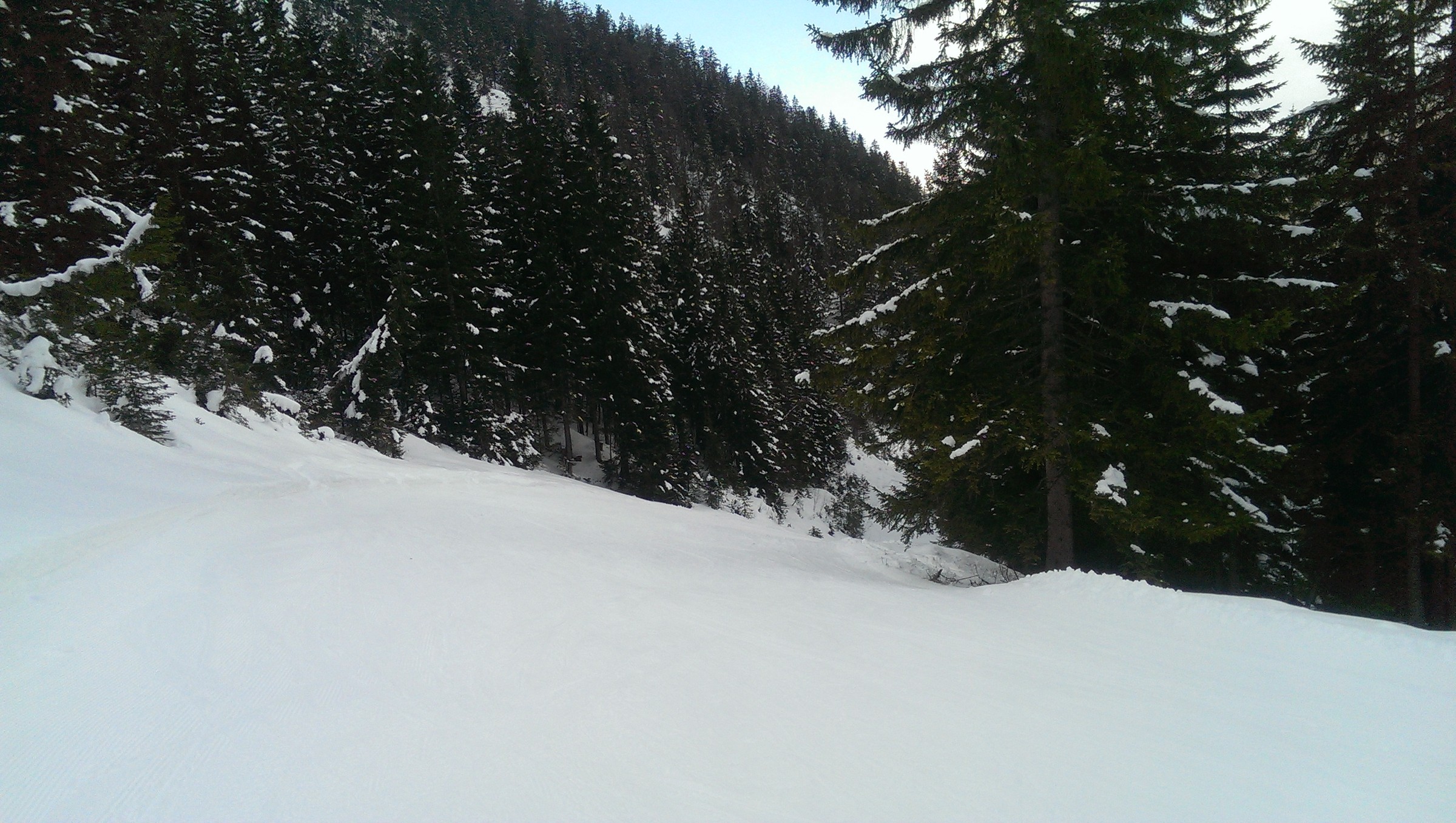 IMAG0999.jpg