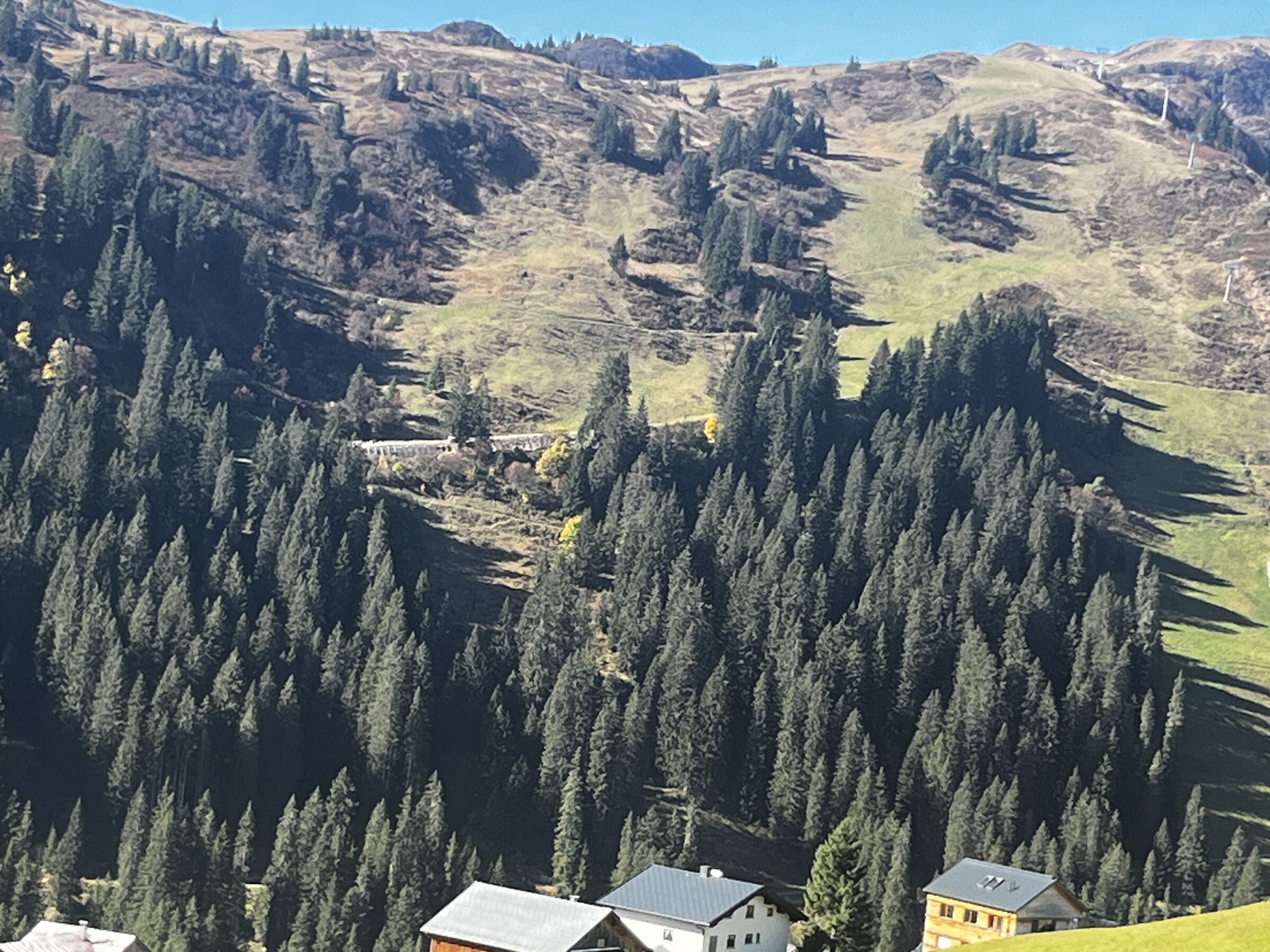 Image (68).jpeg