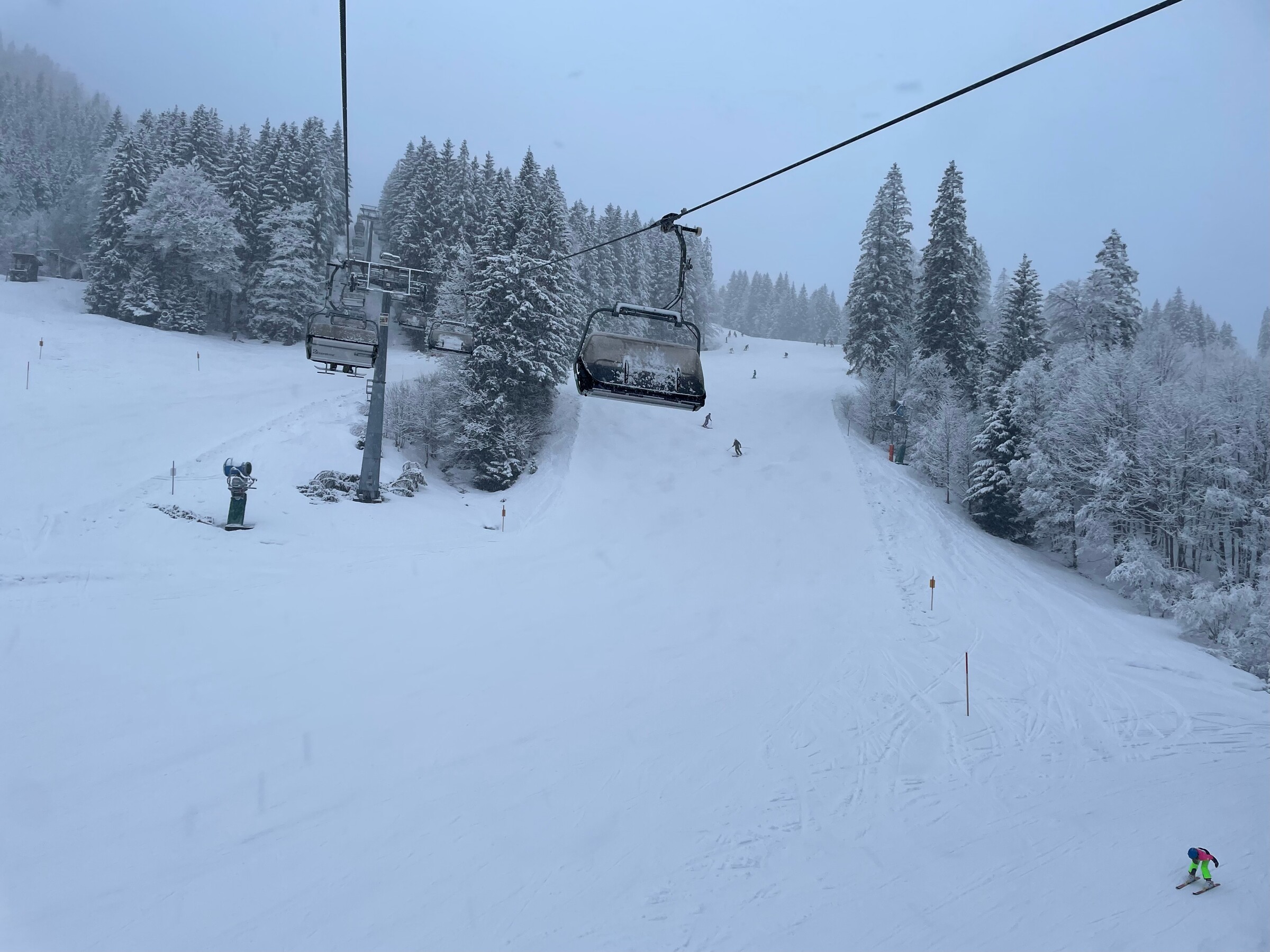 image1 (7).jpeg
