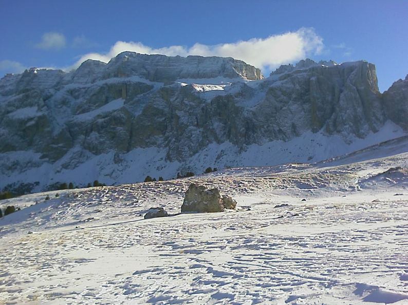 IMAGE_047.jpg