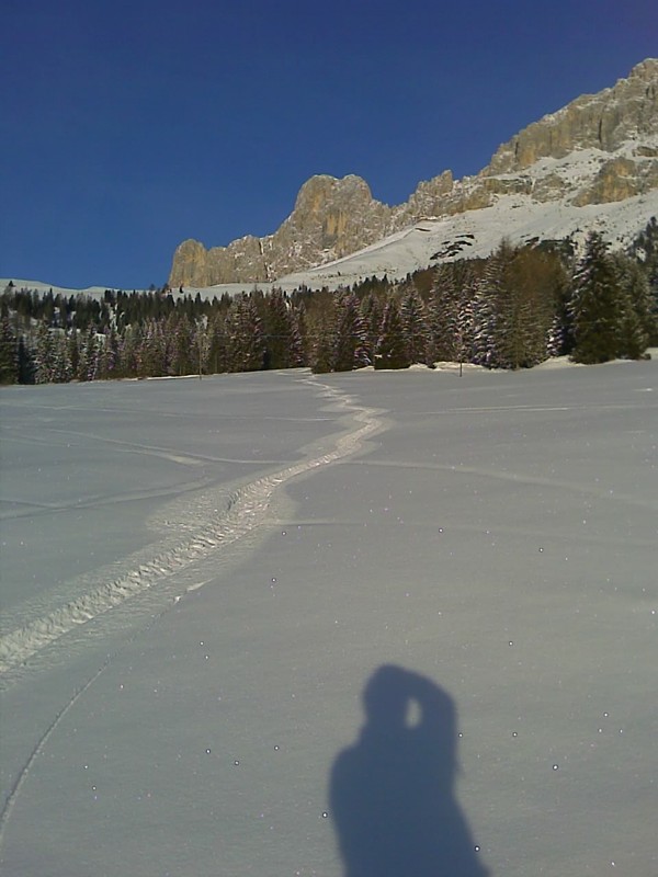 IMAGE_266.jpg