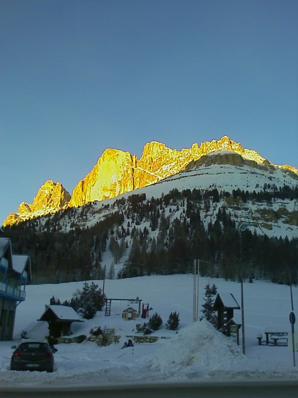 IMAGE_271.jpg