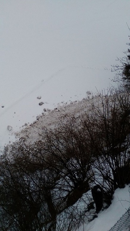 IMG-20160223-WA0097.jpeg