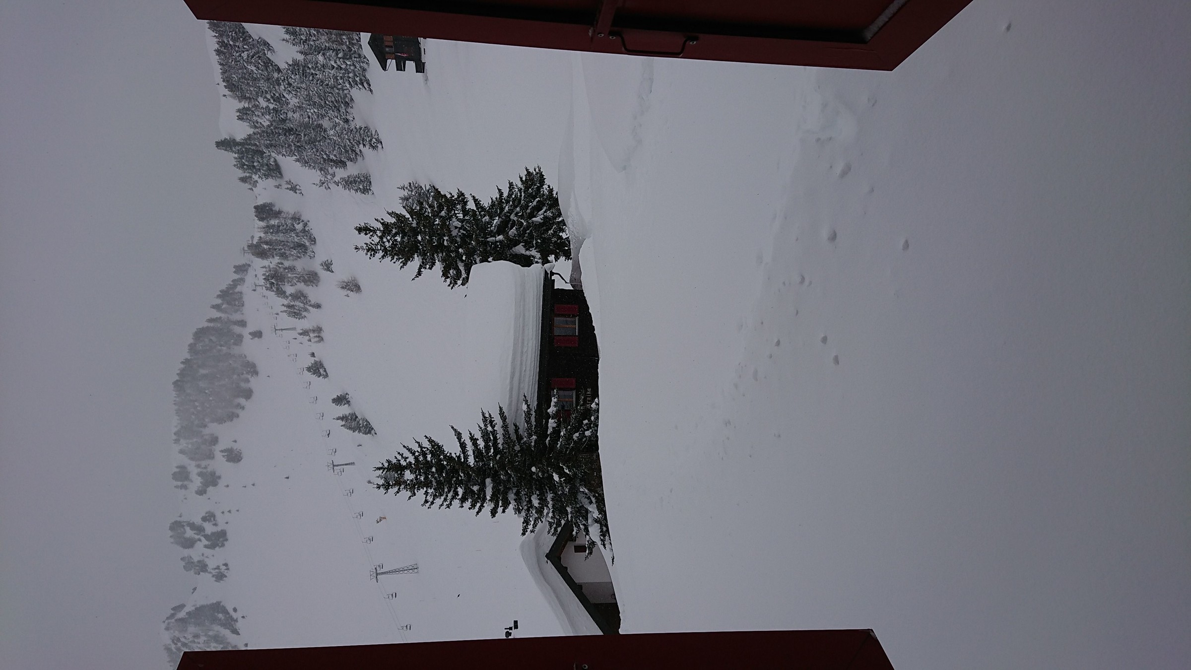 IMG-20180121-WA0001.jpeg