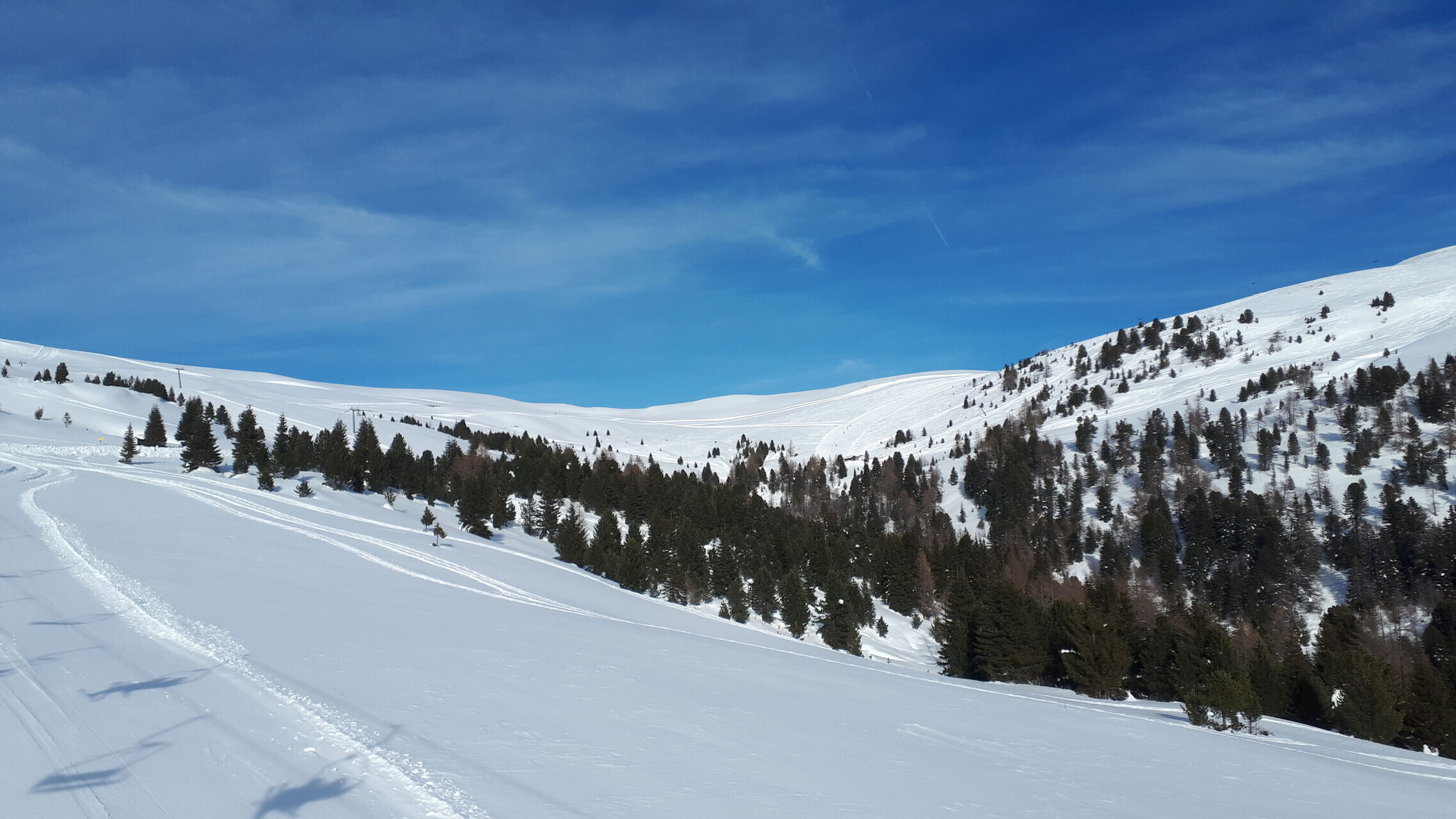 IMG-20190209-WA0028.jpeg