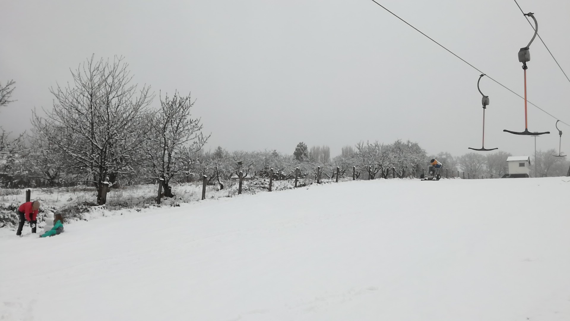 IMG-20210209-WA0026.jpeg