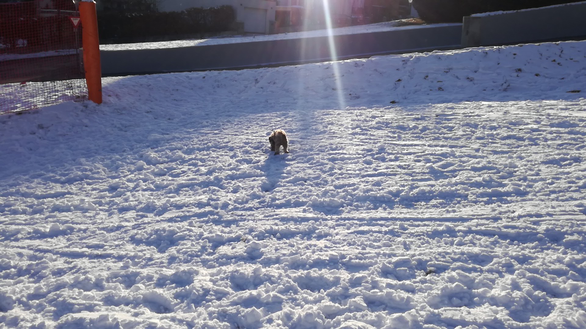 IMG-20210212-WA0020.jpeg