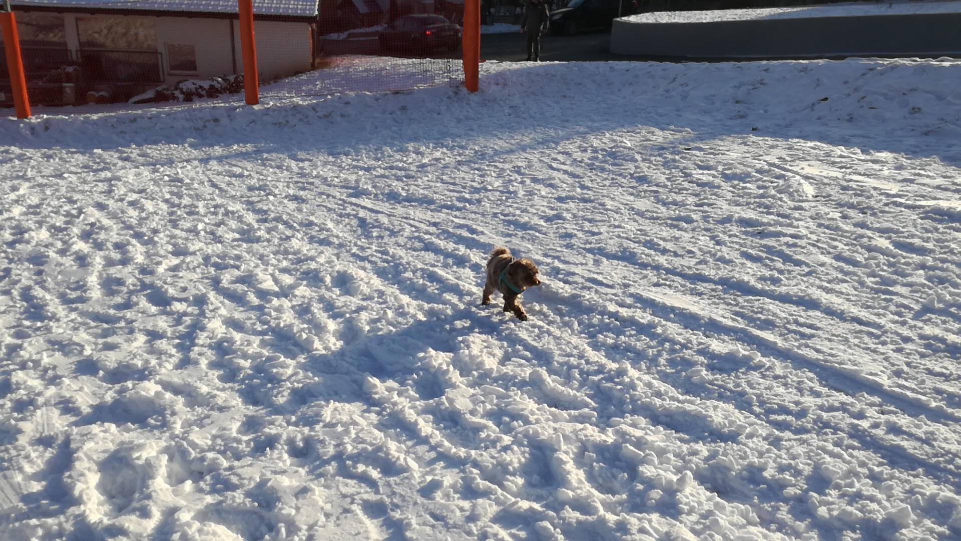 IMG-20210212-WA0028.jpeg