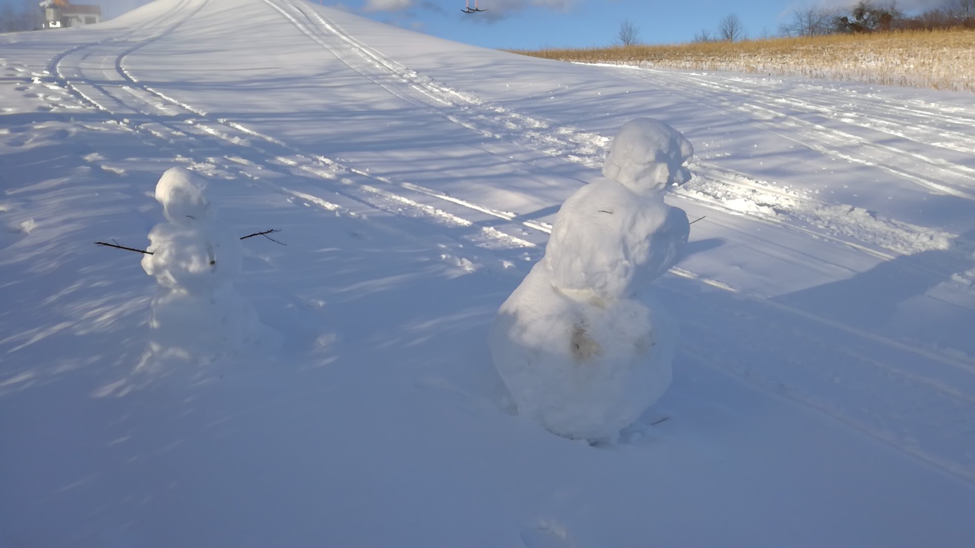 IMG-20210212-WA0053.jpeg