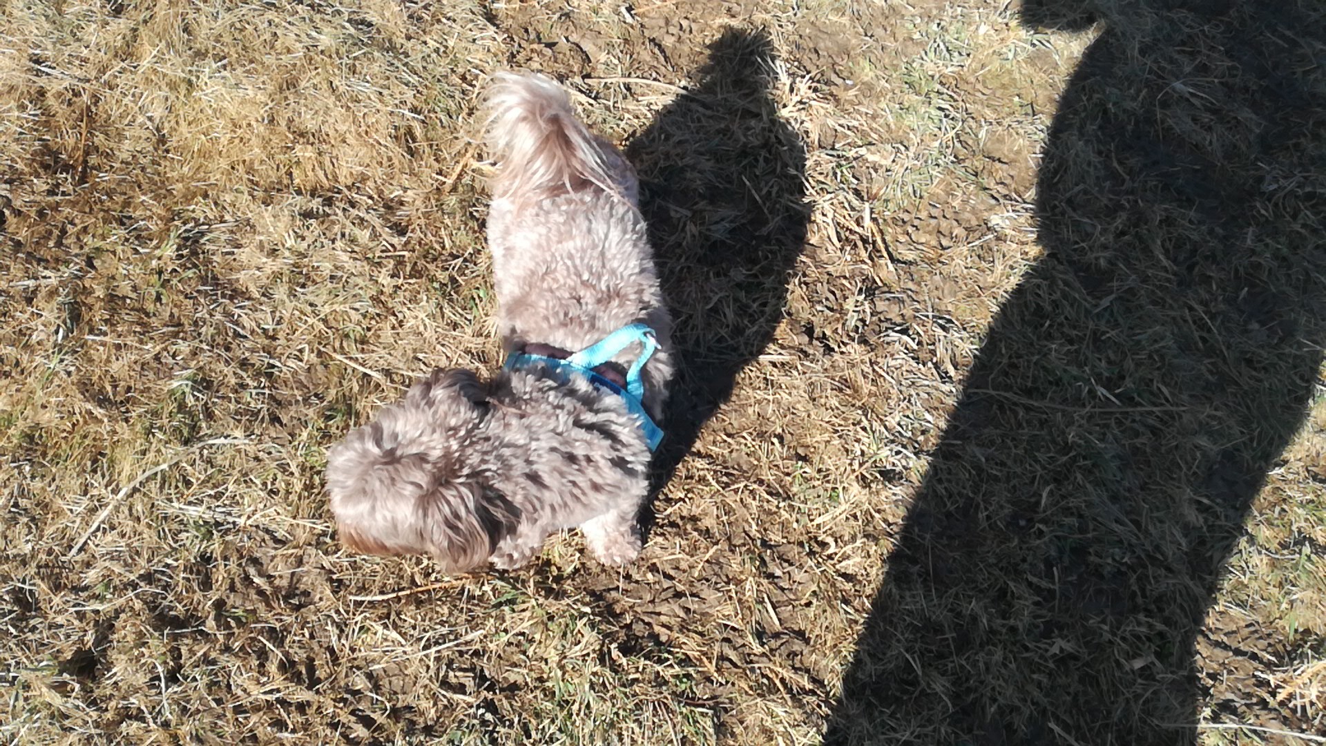 IMG-20210215-WA0015.jpeg