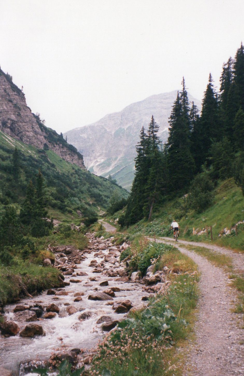 img002.jpg