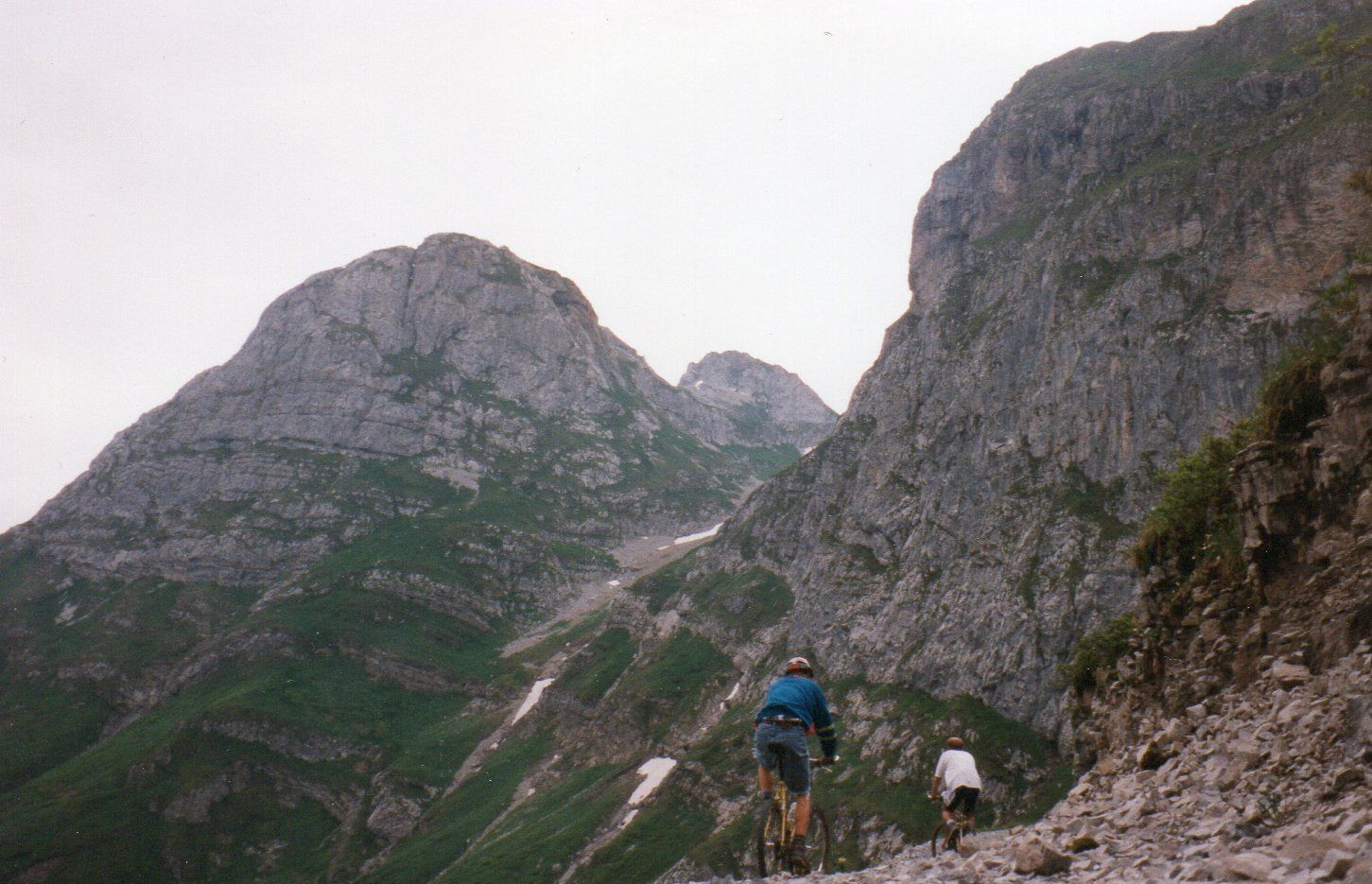img003.jpg