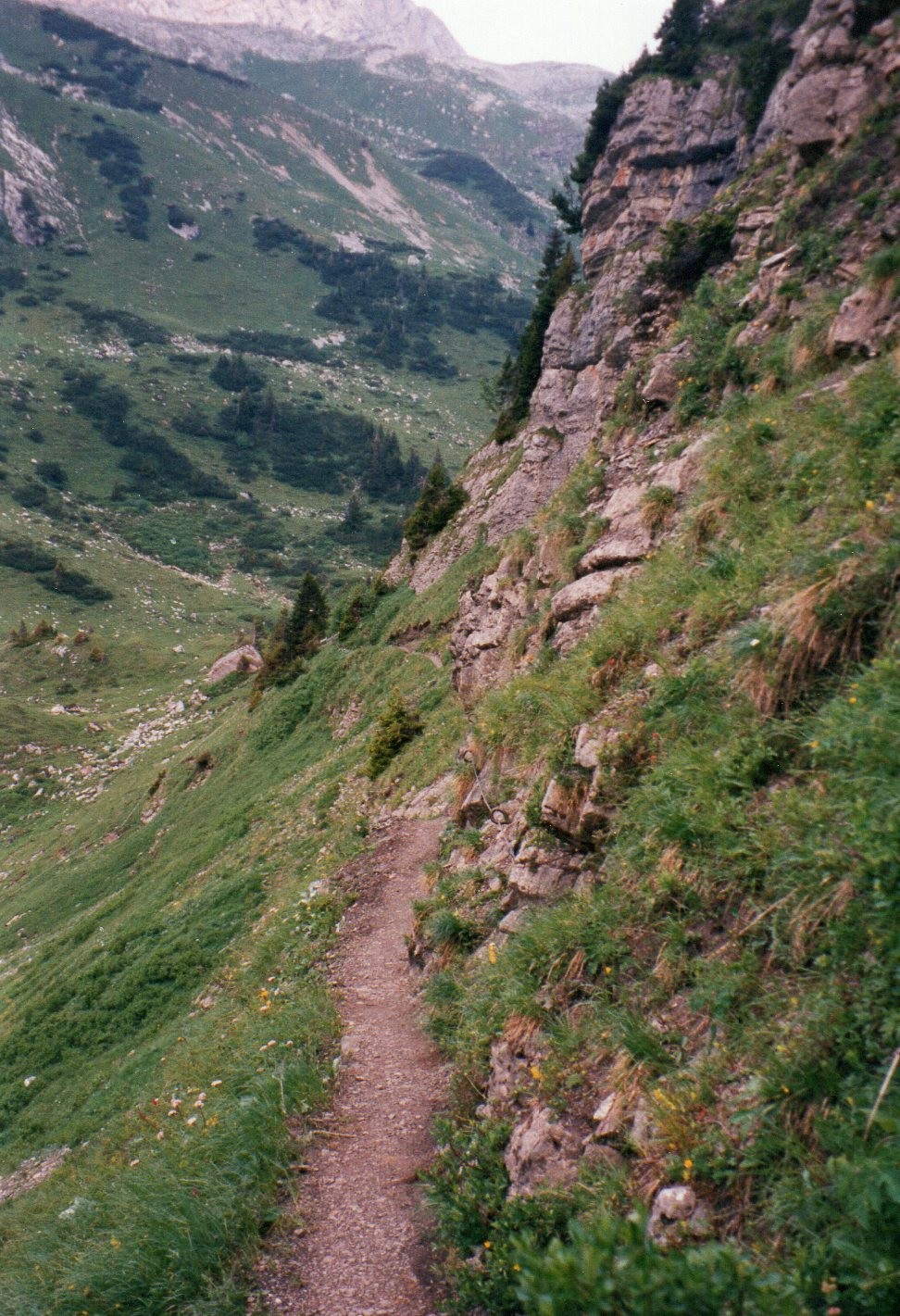 img009.jpg