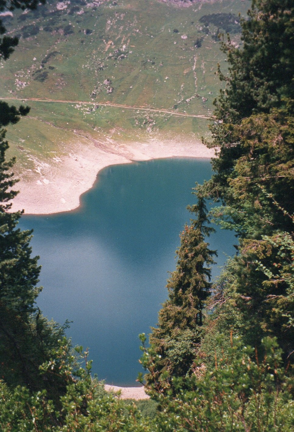 img010.jpg