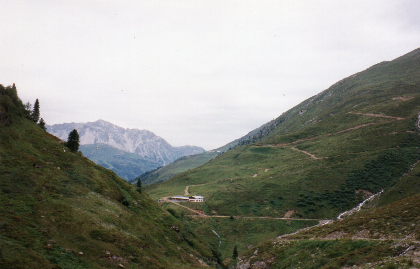 img015.jpg