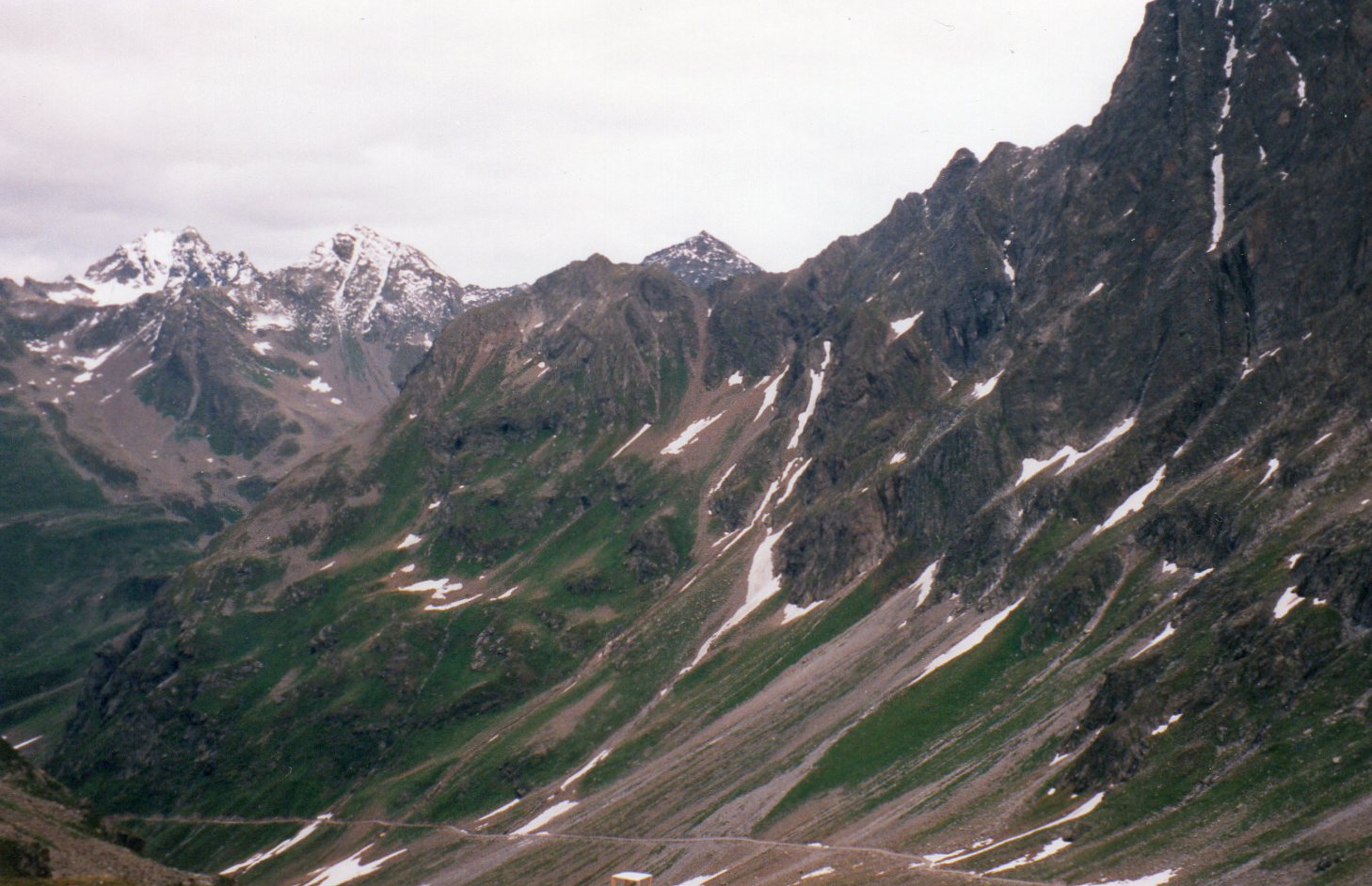 img017.jpg