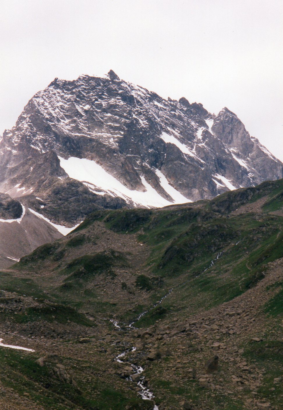 img019.jpg