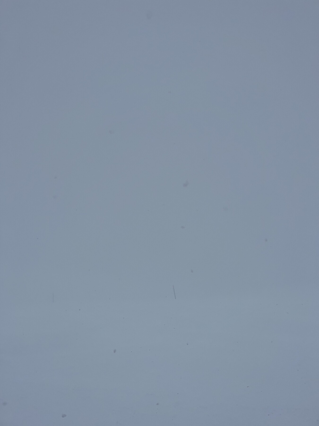 IMG_0106.jpeg